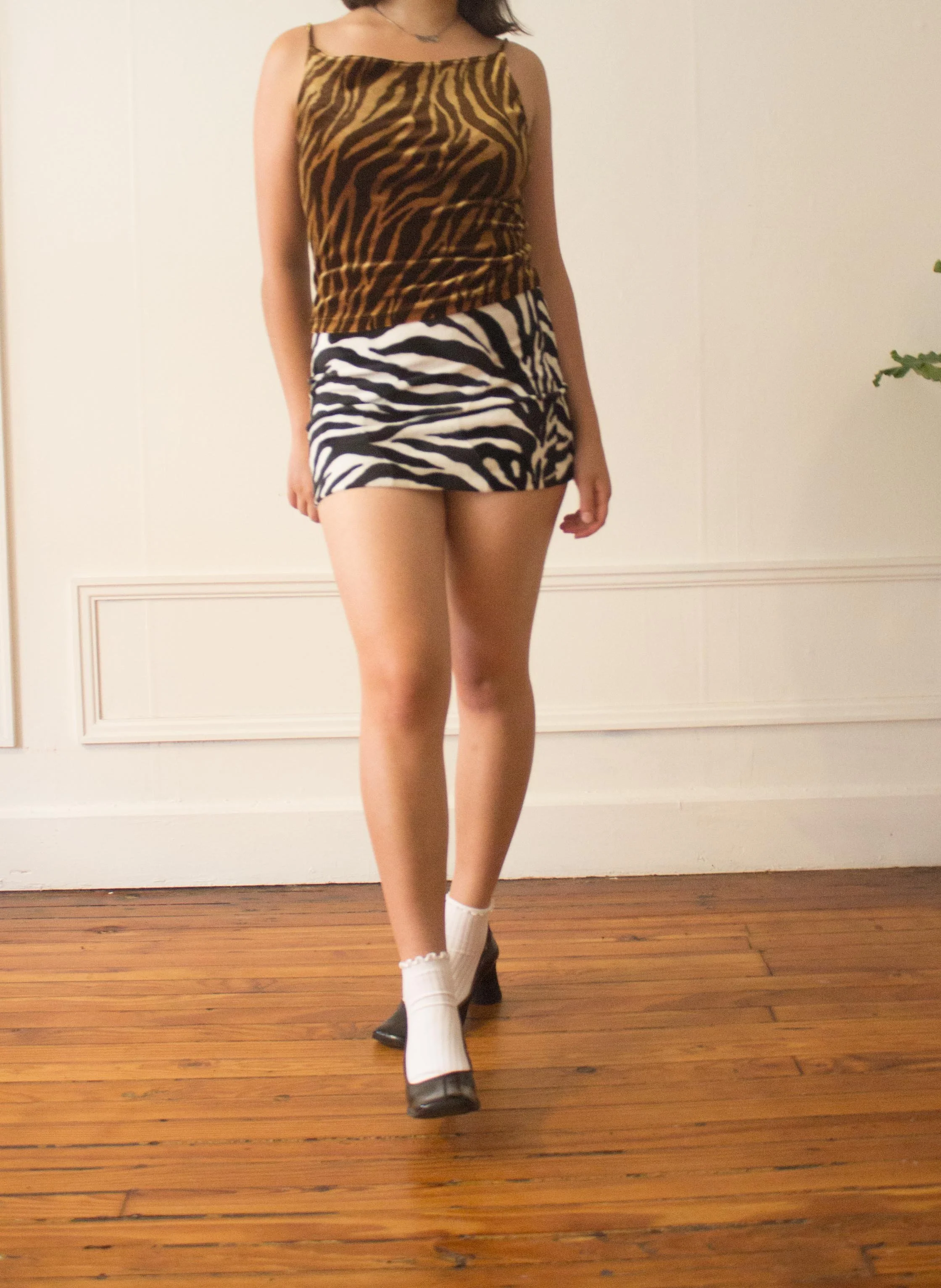 zebra set (2 of 5).jpg