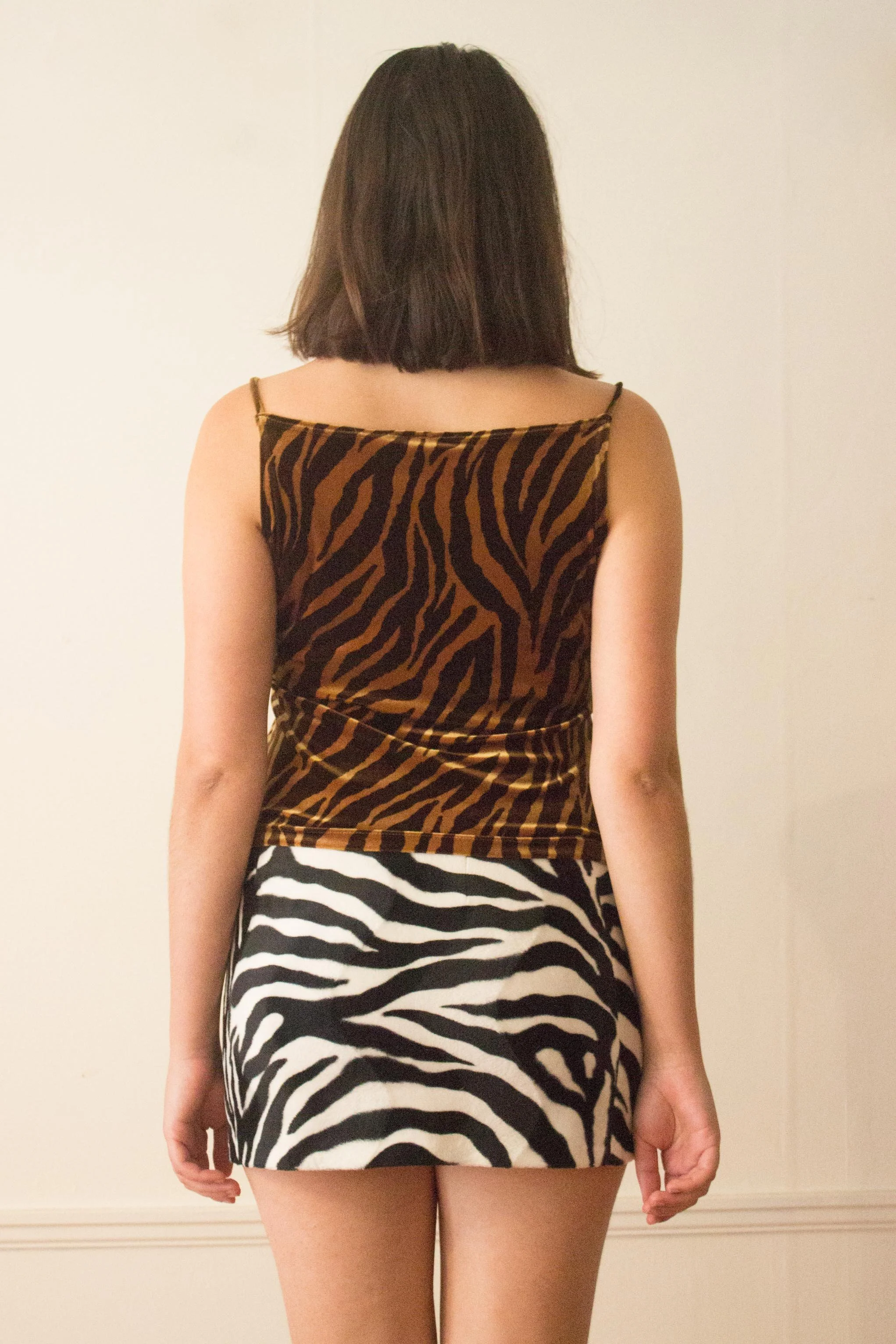 zebra set (5 of 5).jpg