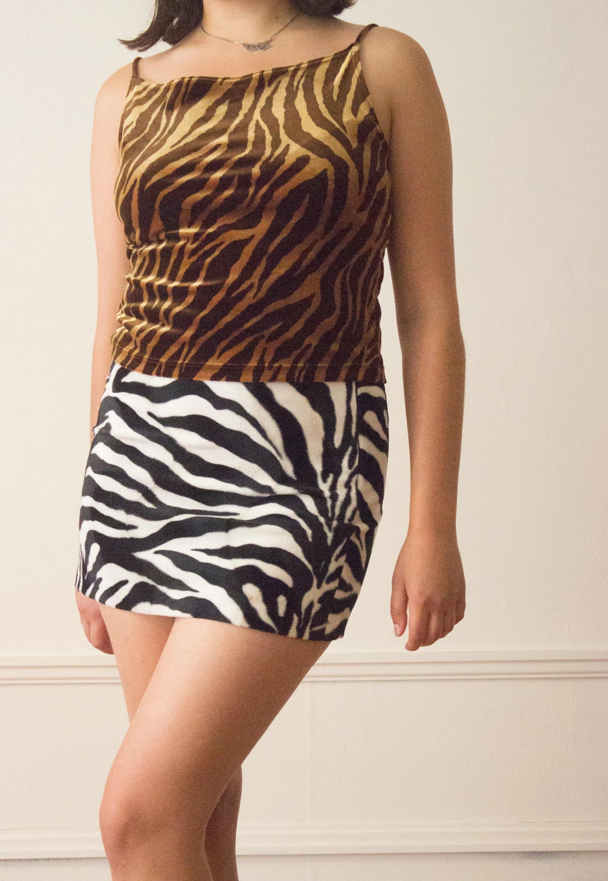 zebra set (4 of 5).jpg