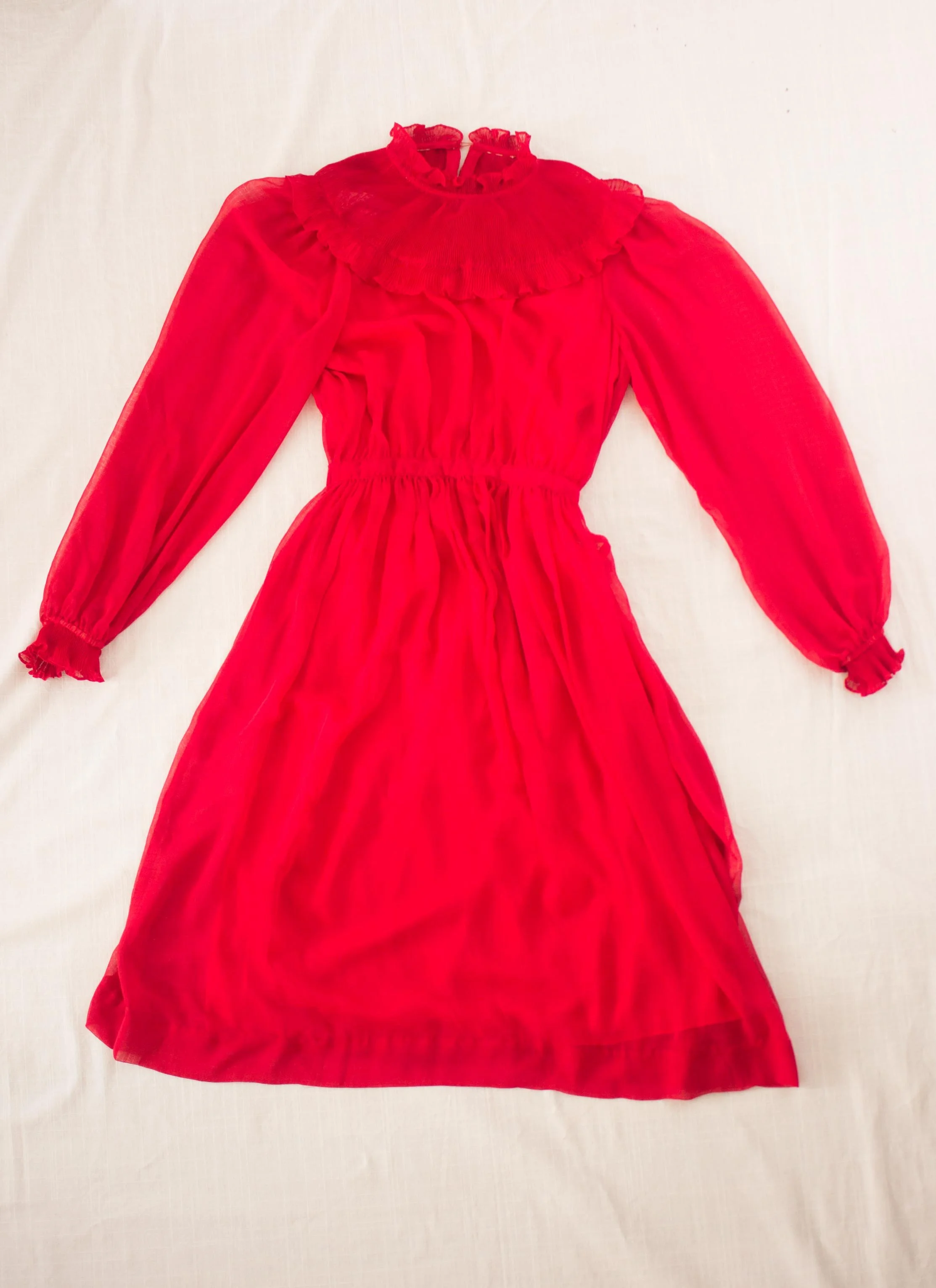 red nipon (1 of 3).jpg