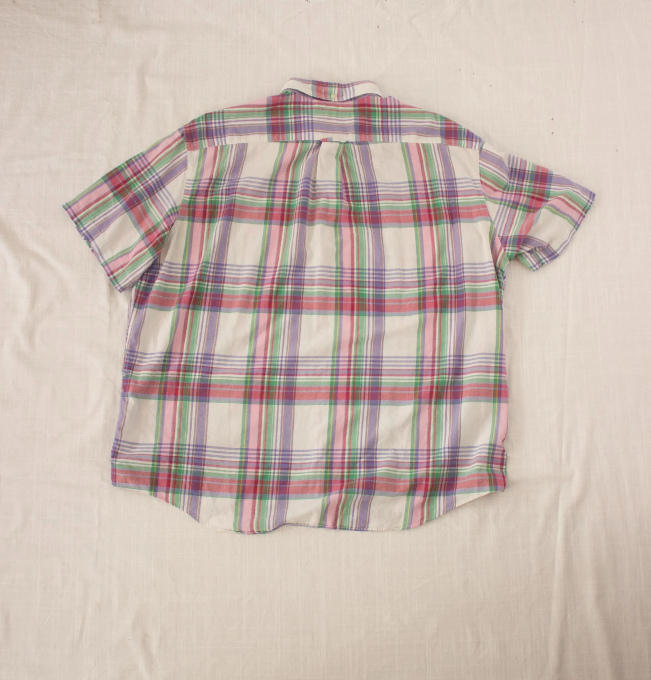 plaid ralph (3 of 3).jpg