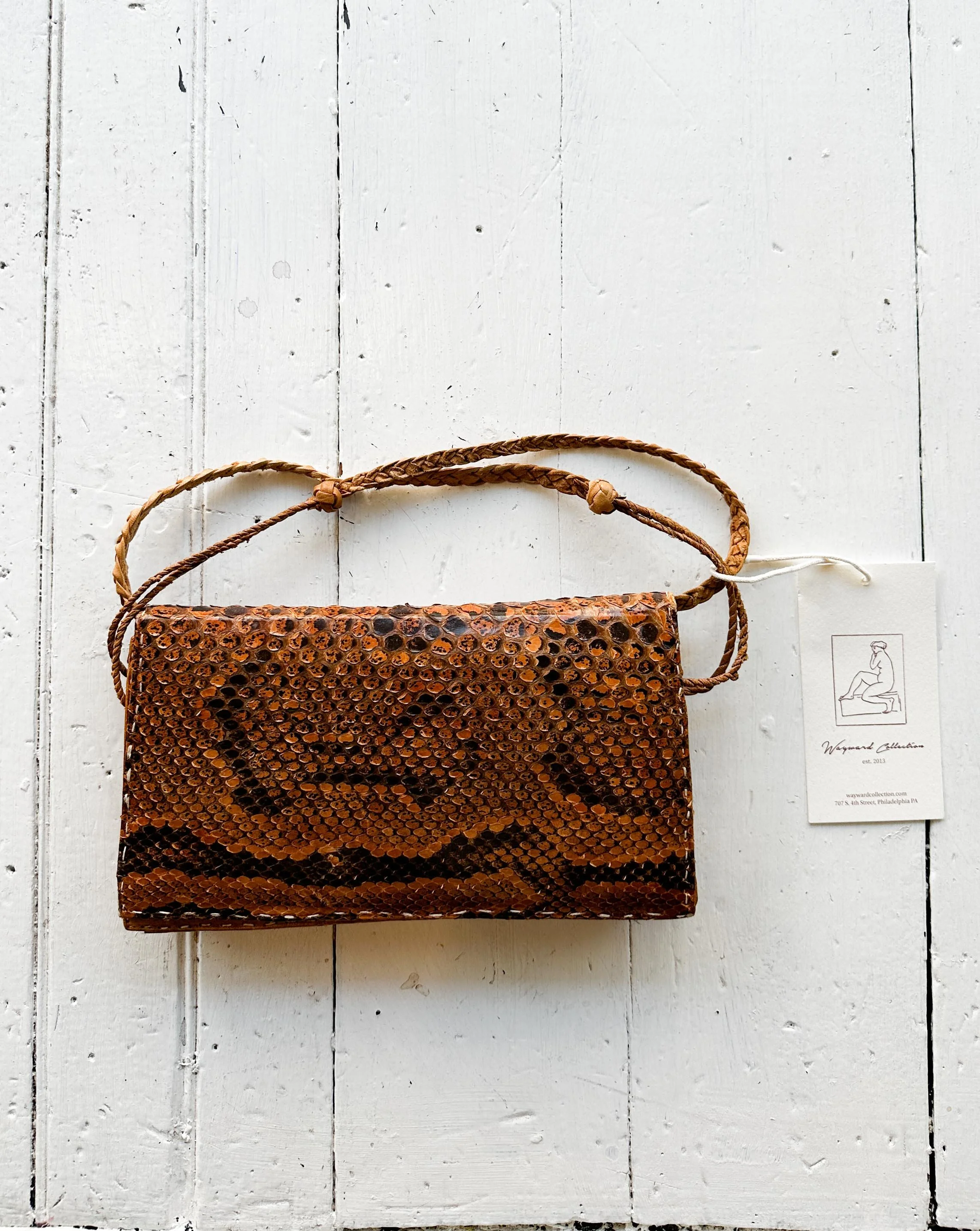 snakeskin (1 of 3).jpg