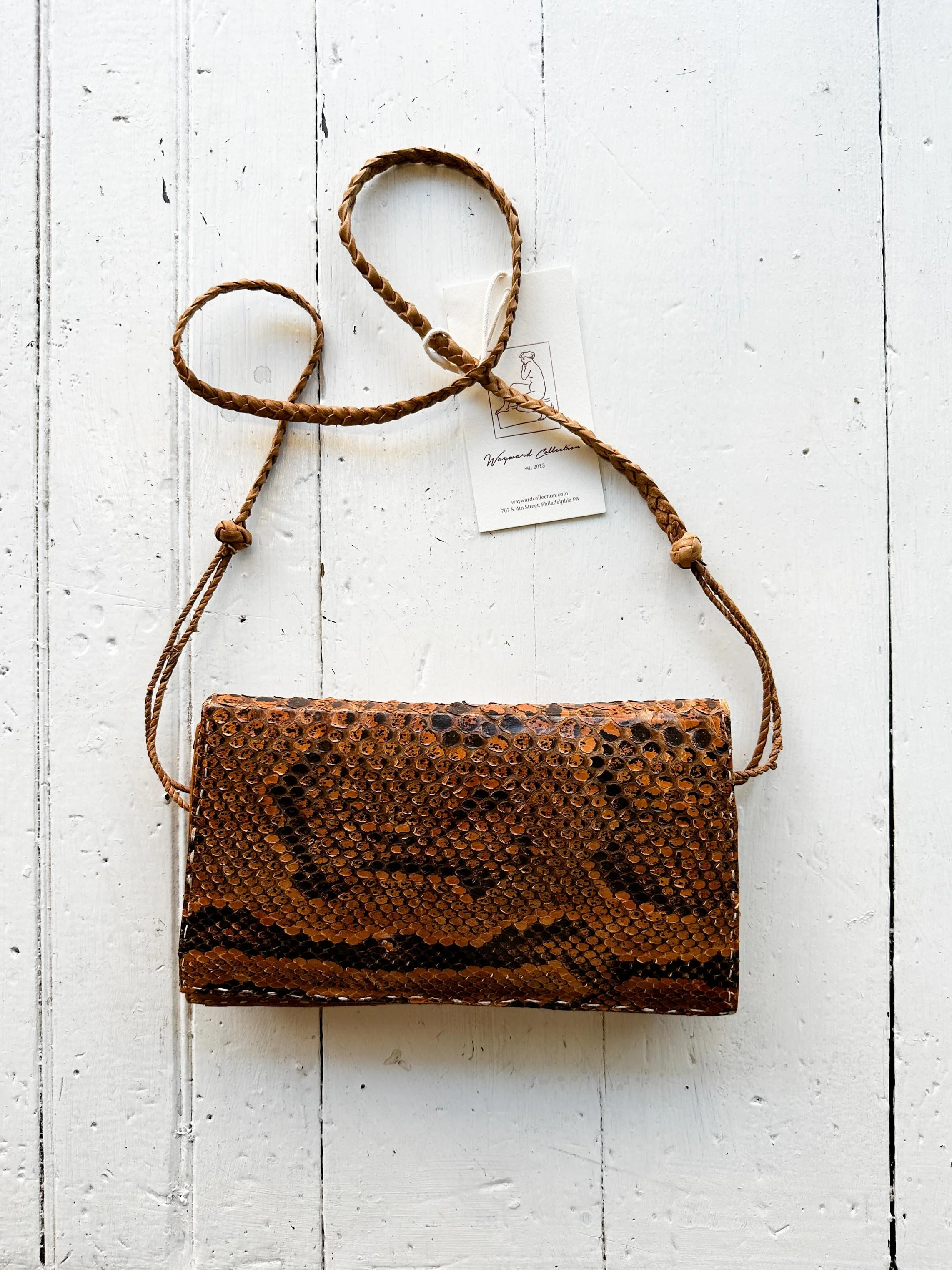 snakeskin (3 of 3).jpg