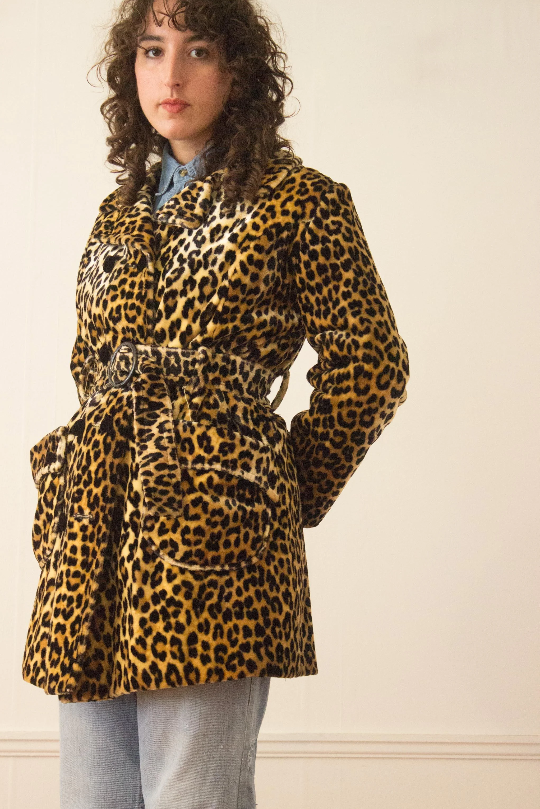 leopard (3 of 6).jpg