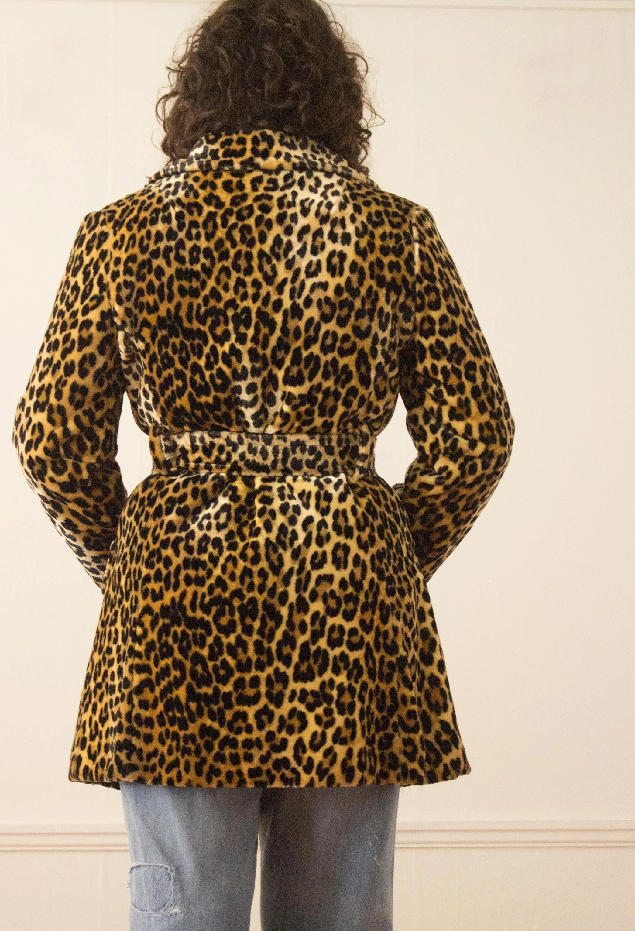 leopard (4 of 6).jpg