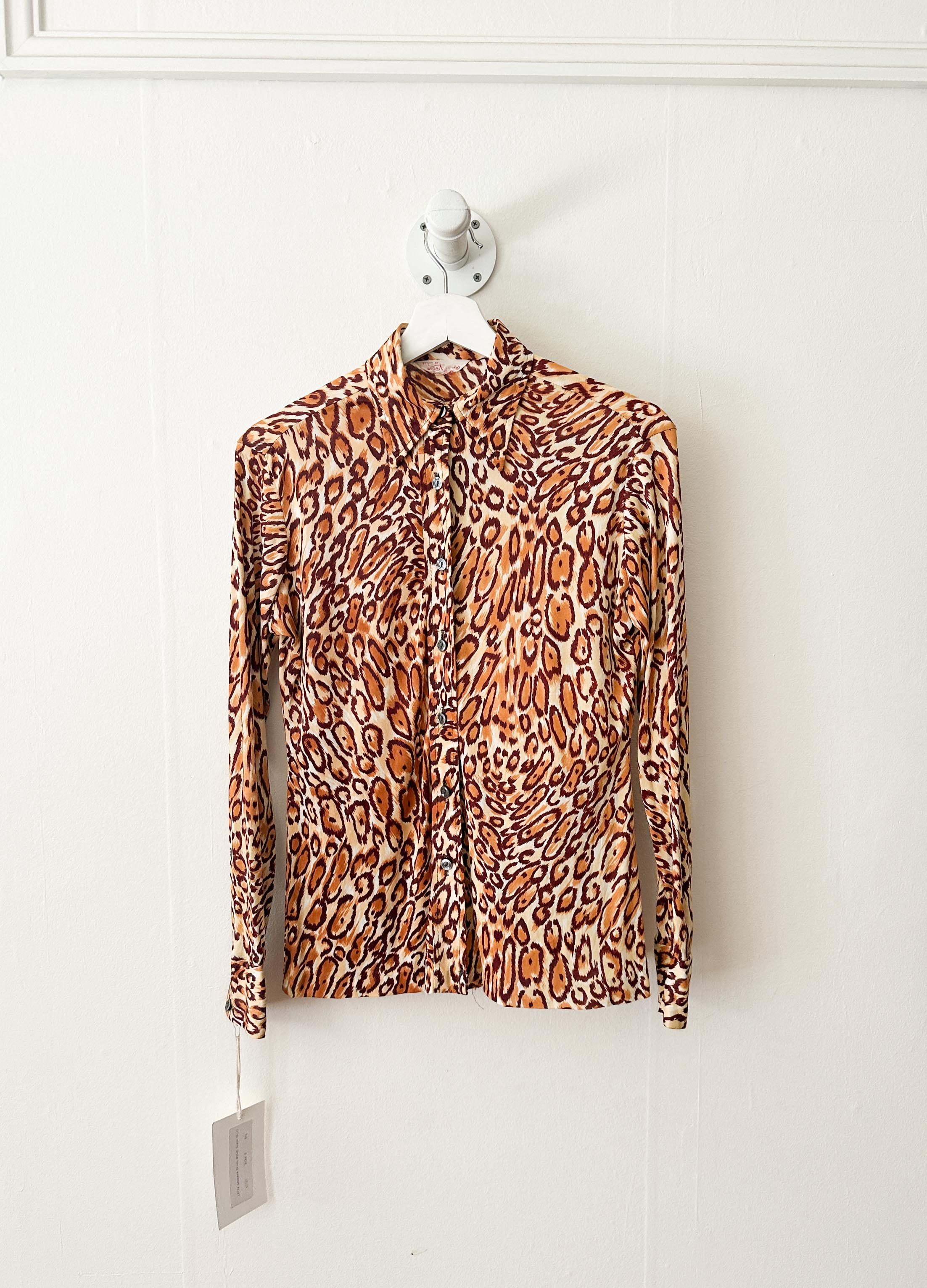 leopard (3 of 3).jpg
