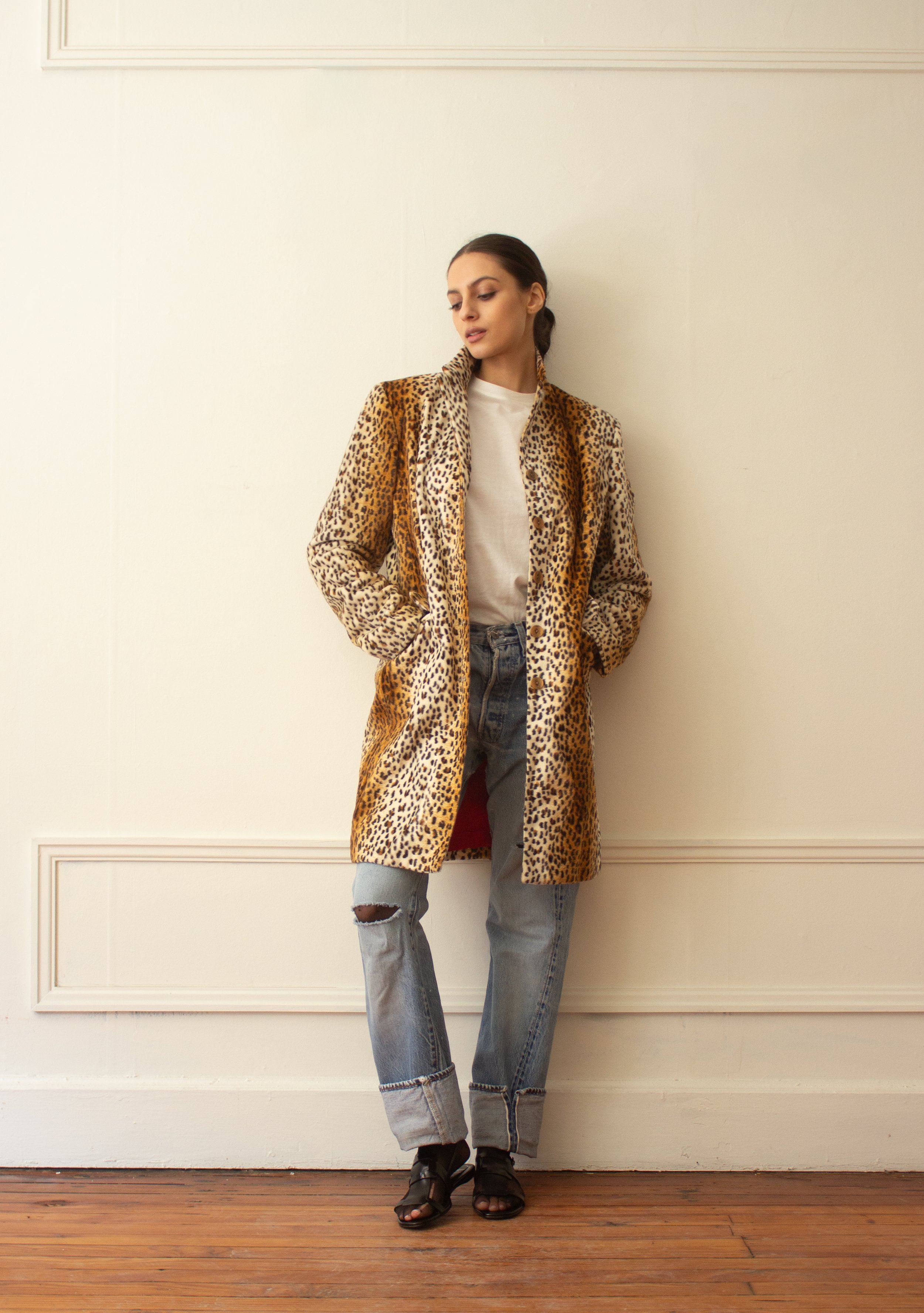 leopard (1 of 8).jpg