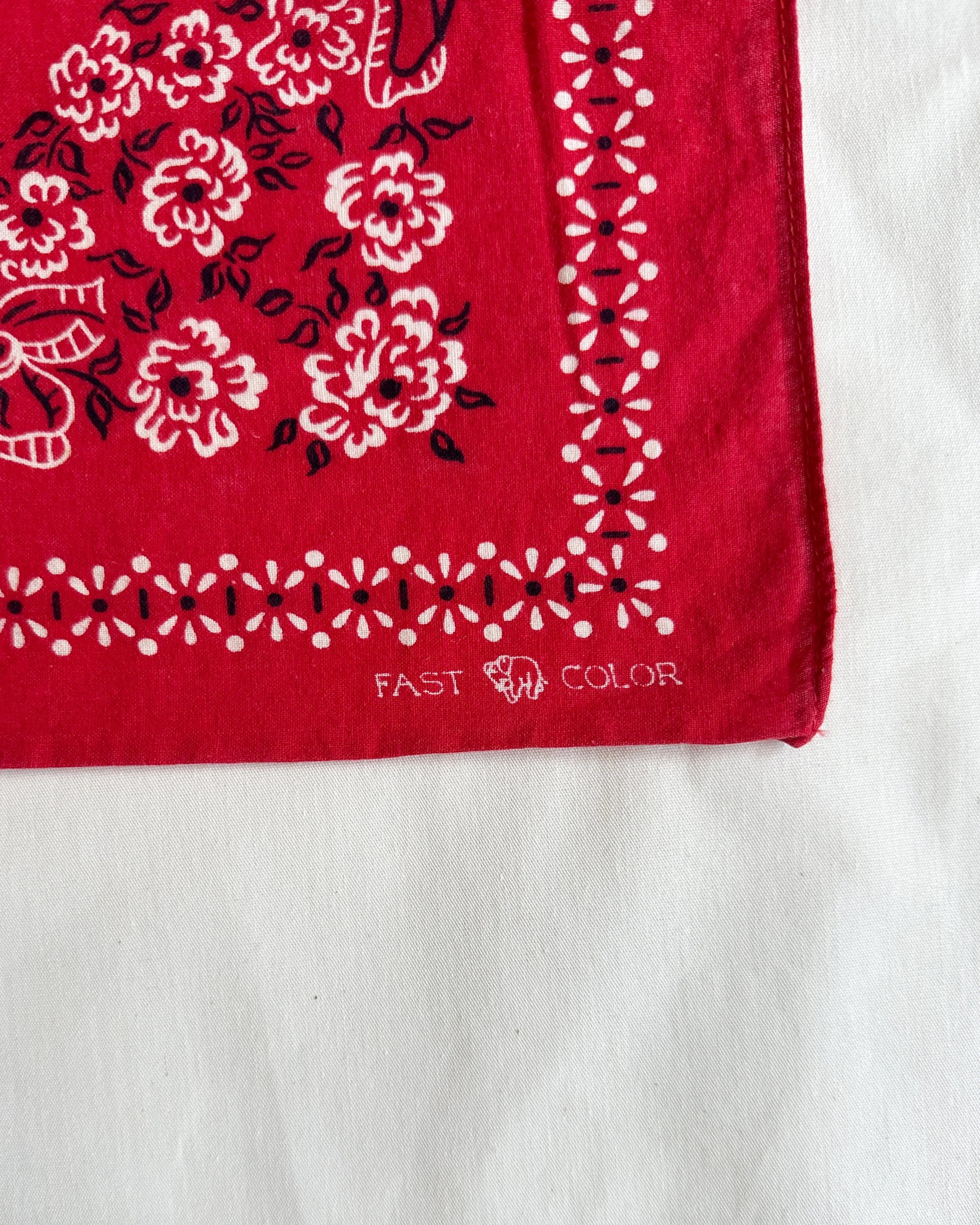 bandanas (2 of 11).jpg