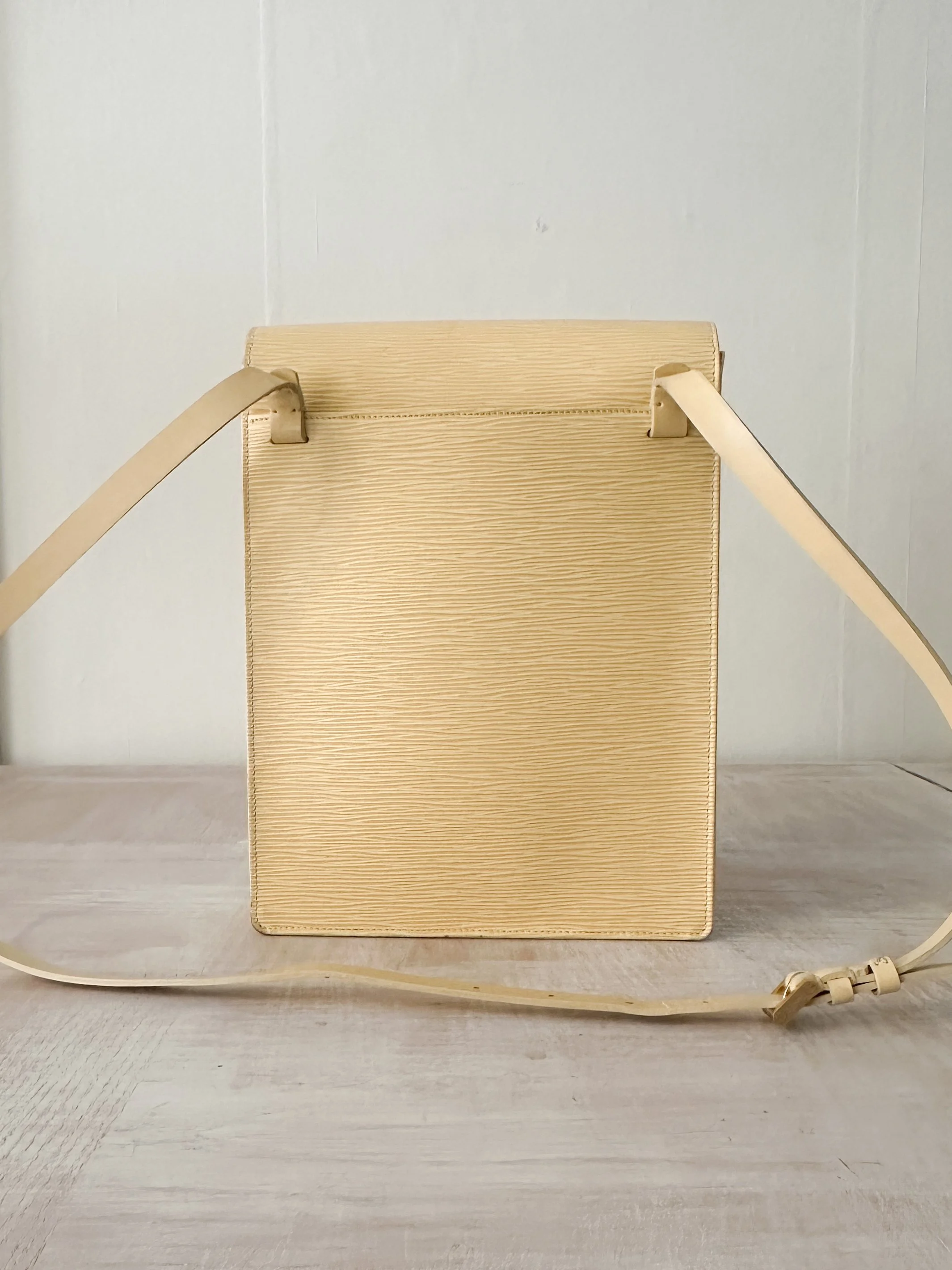 lv bag (4 of 7).jpg