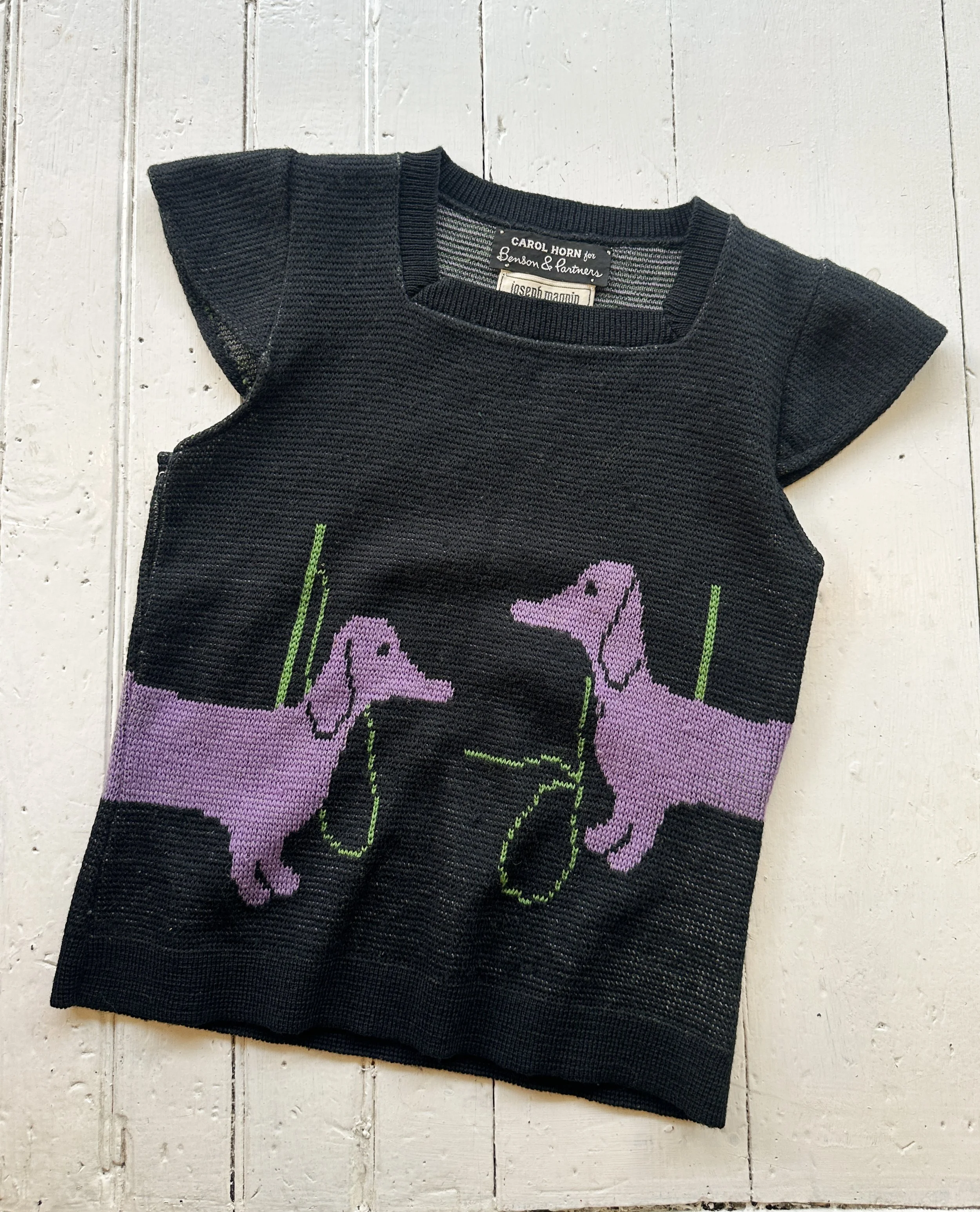doxie (3 of 4).jpg