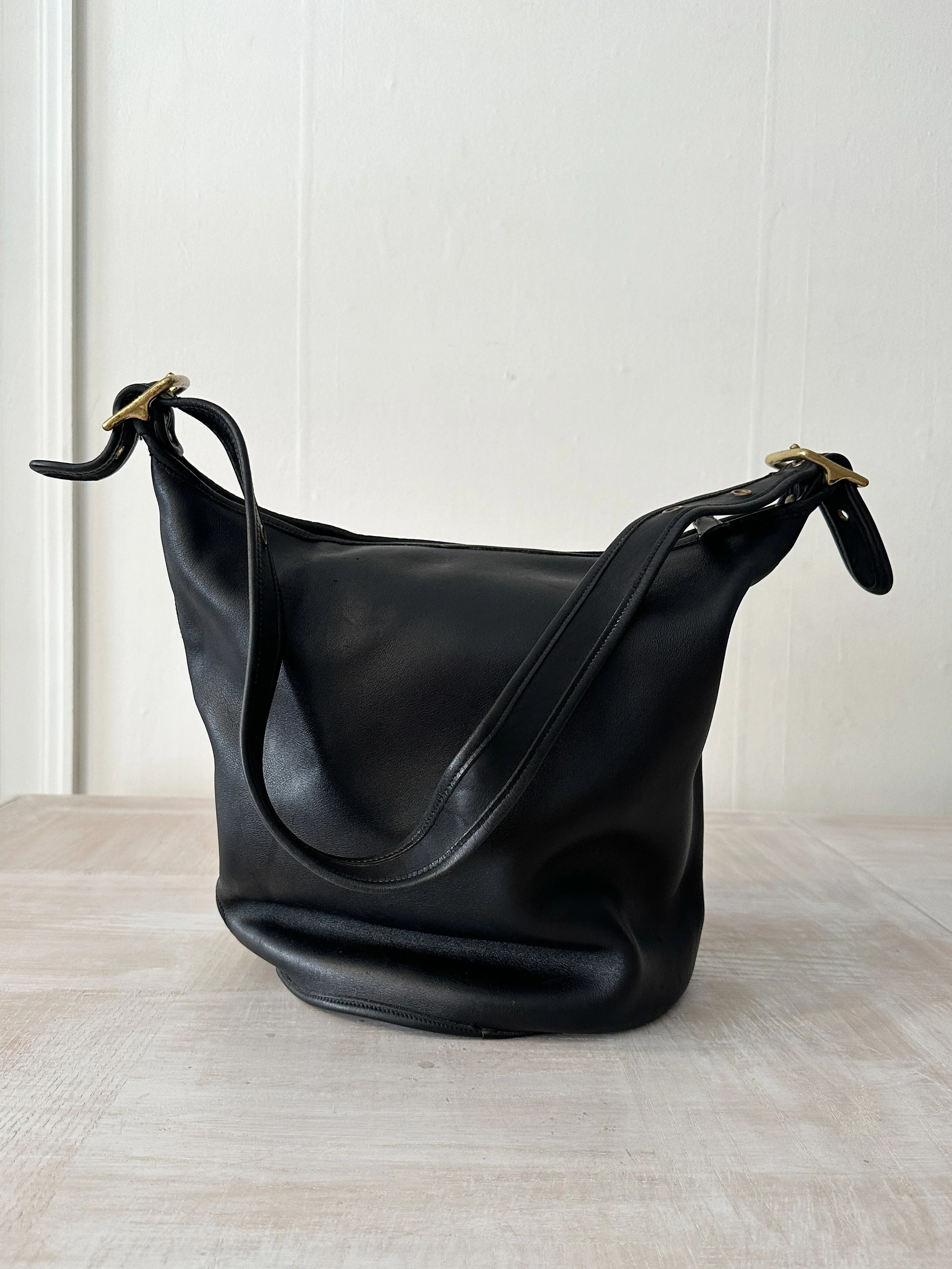 coach bag (1 of 4).jpg