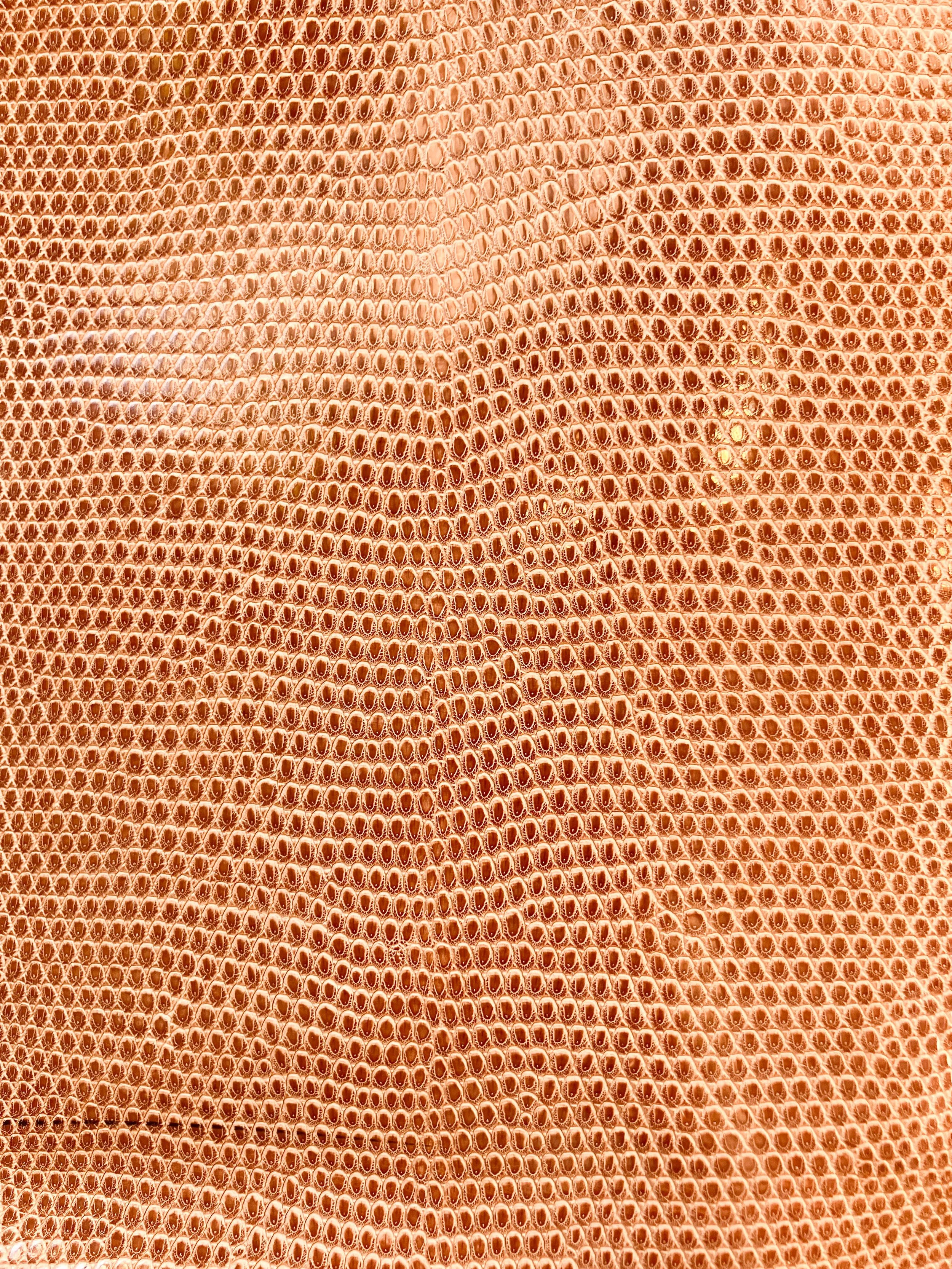 florence reptile bag (2 of 7).jpg
