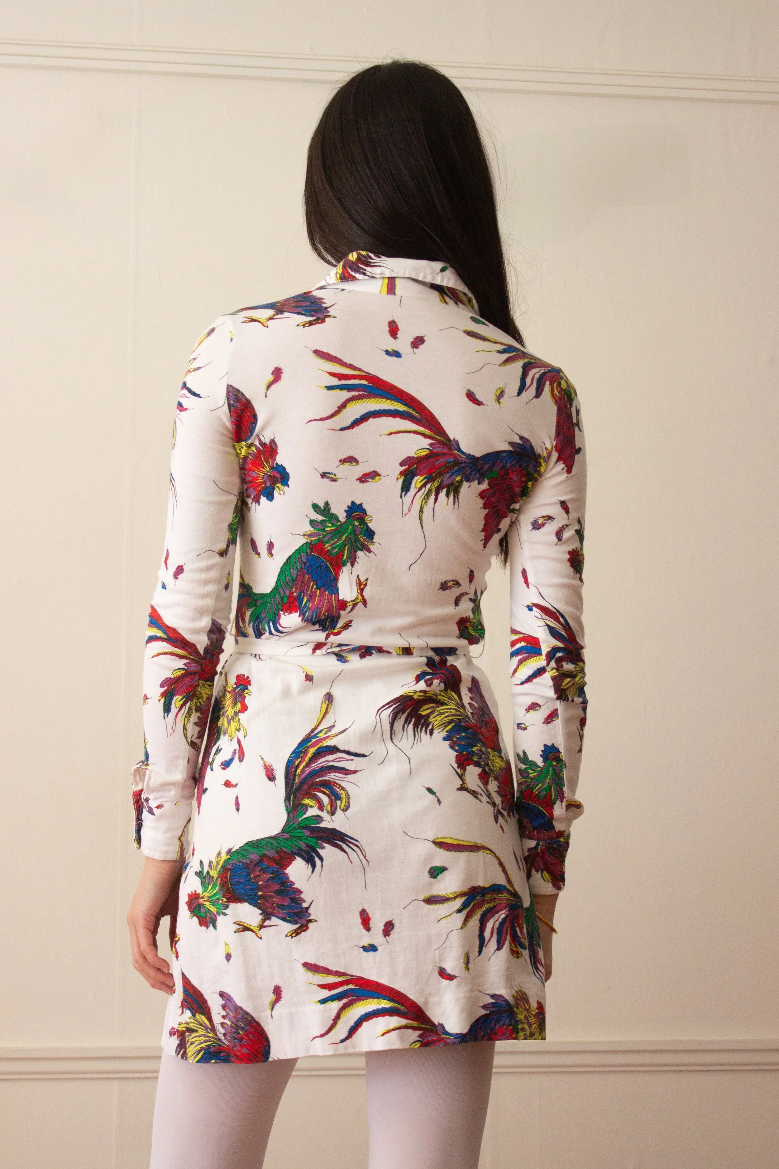 rooster mini dress (4 of 5).jpg