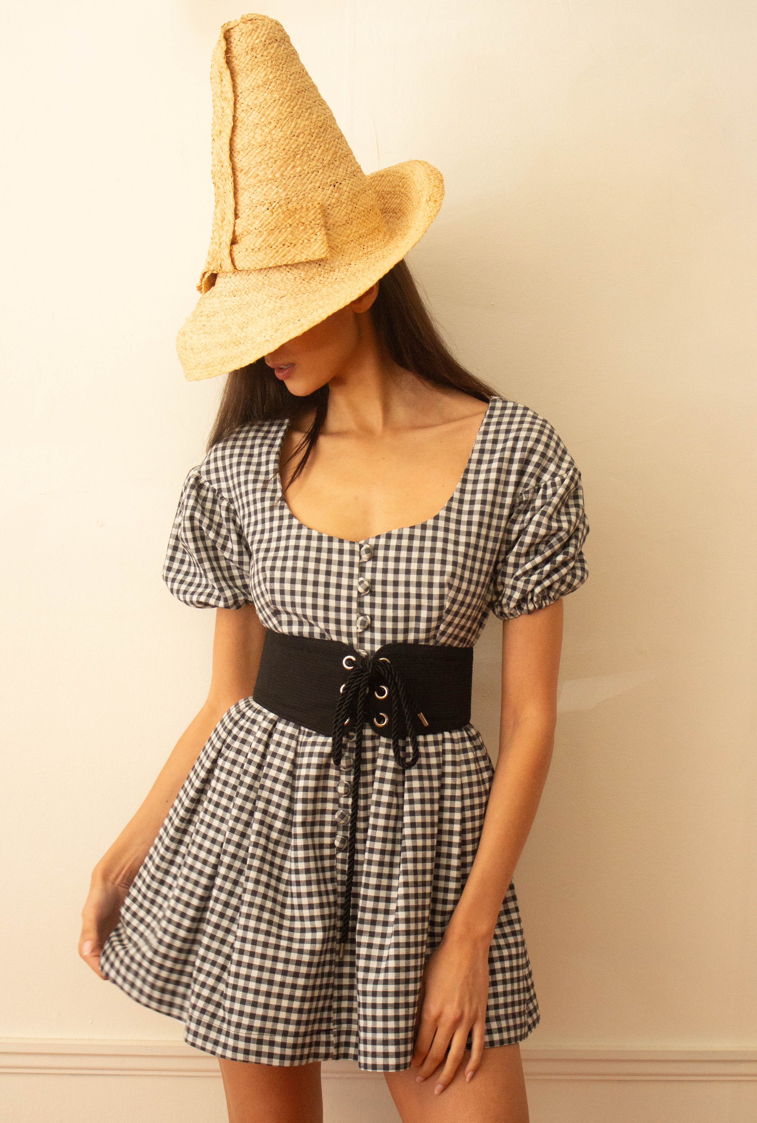 gingham swiss dress (5 of 7).jpg