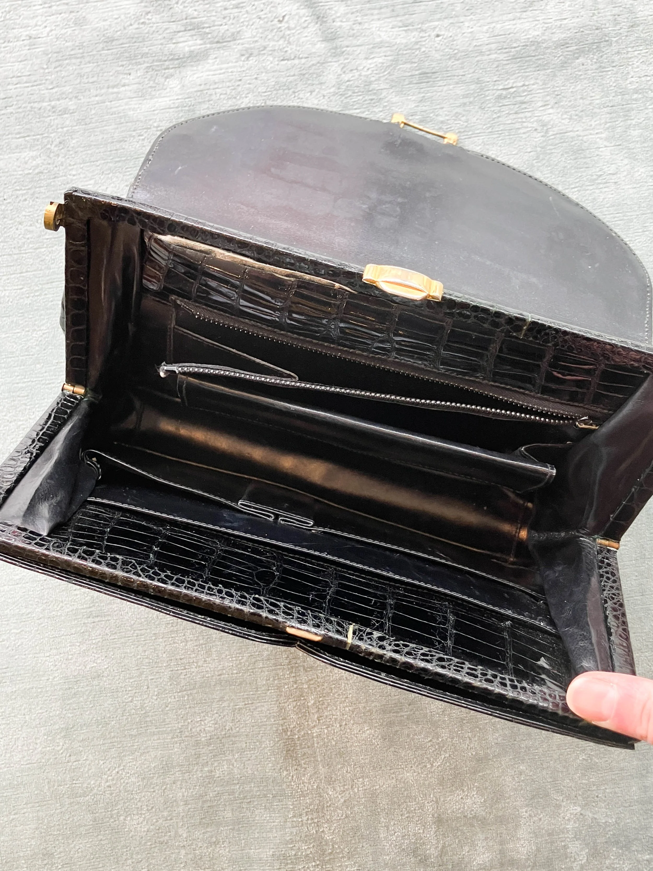 reptile clutch (1 of 4).jpg