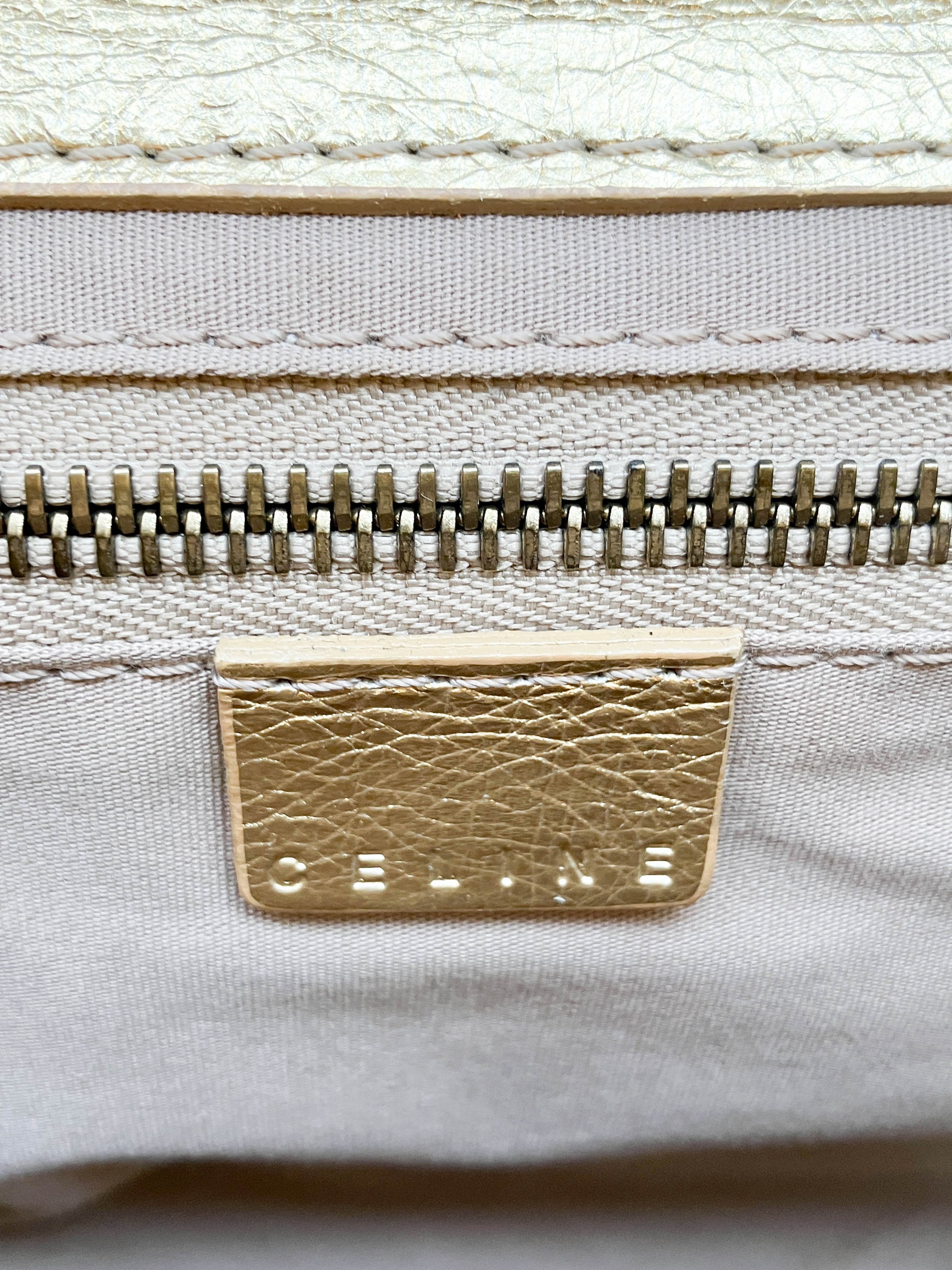 celine bag (6 of 7).jpg