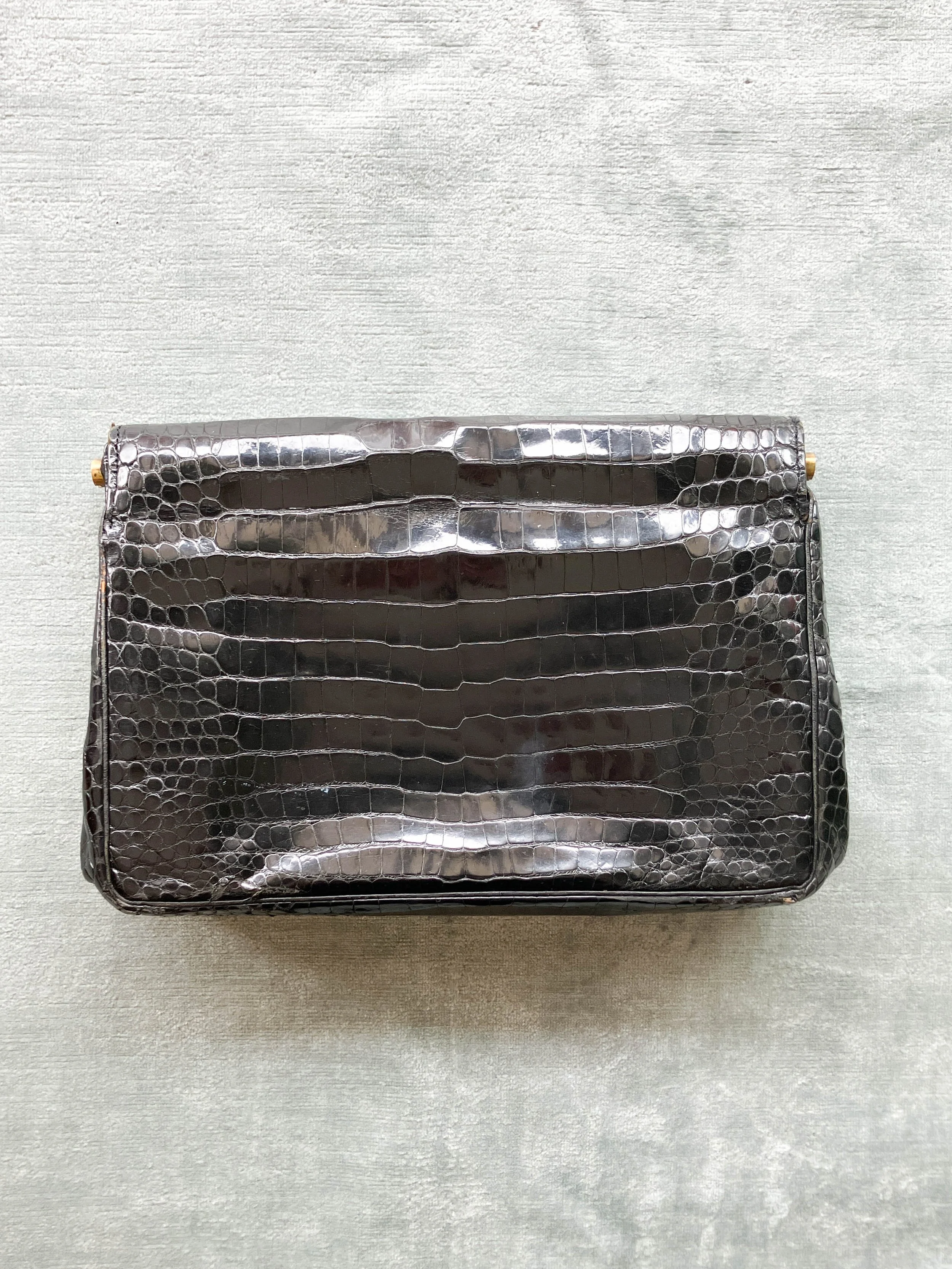 reptile clutch (4 of 4).jpg