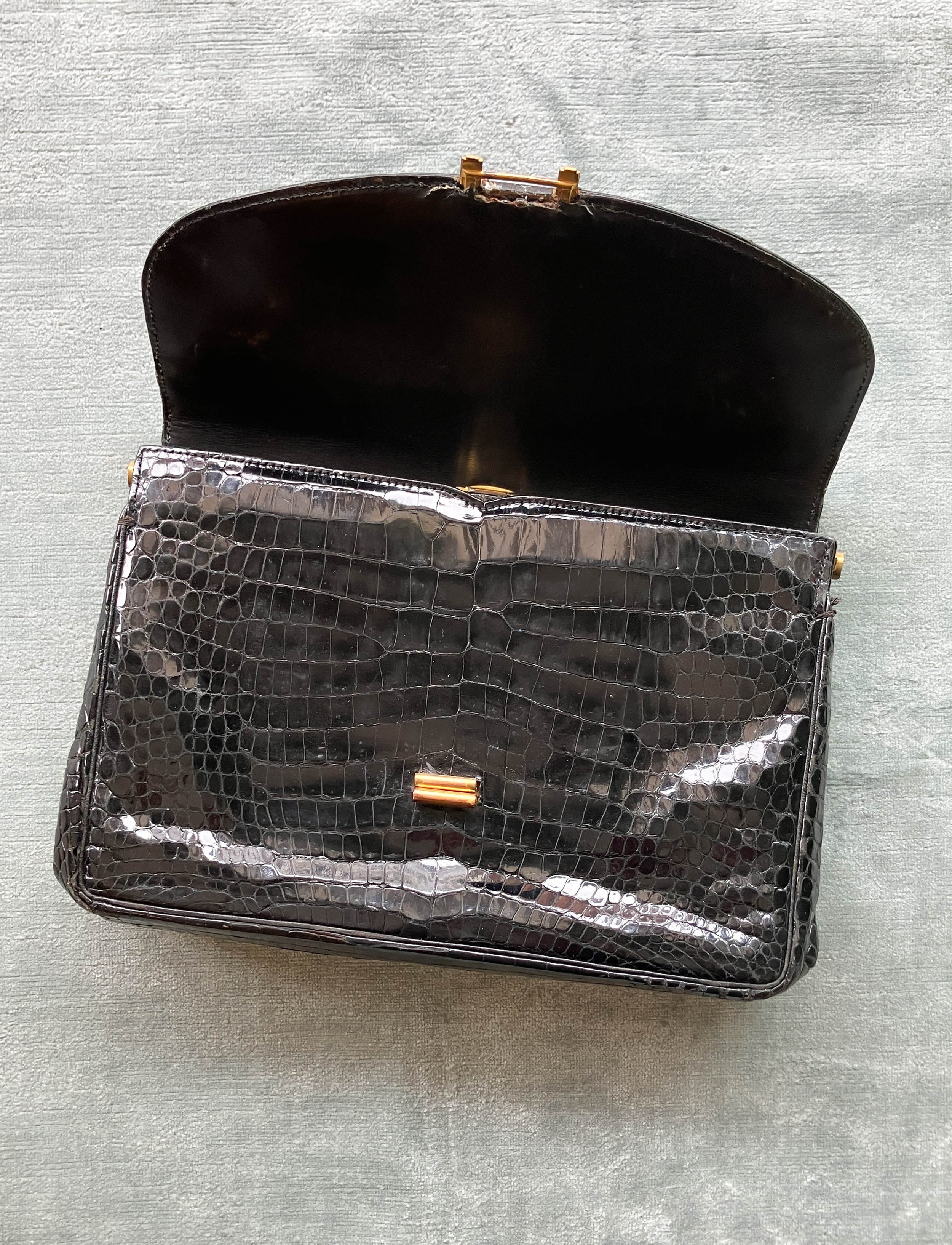 reptile clutch (2 of 4).jpg