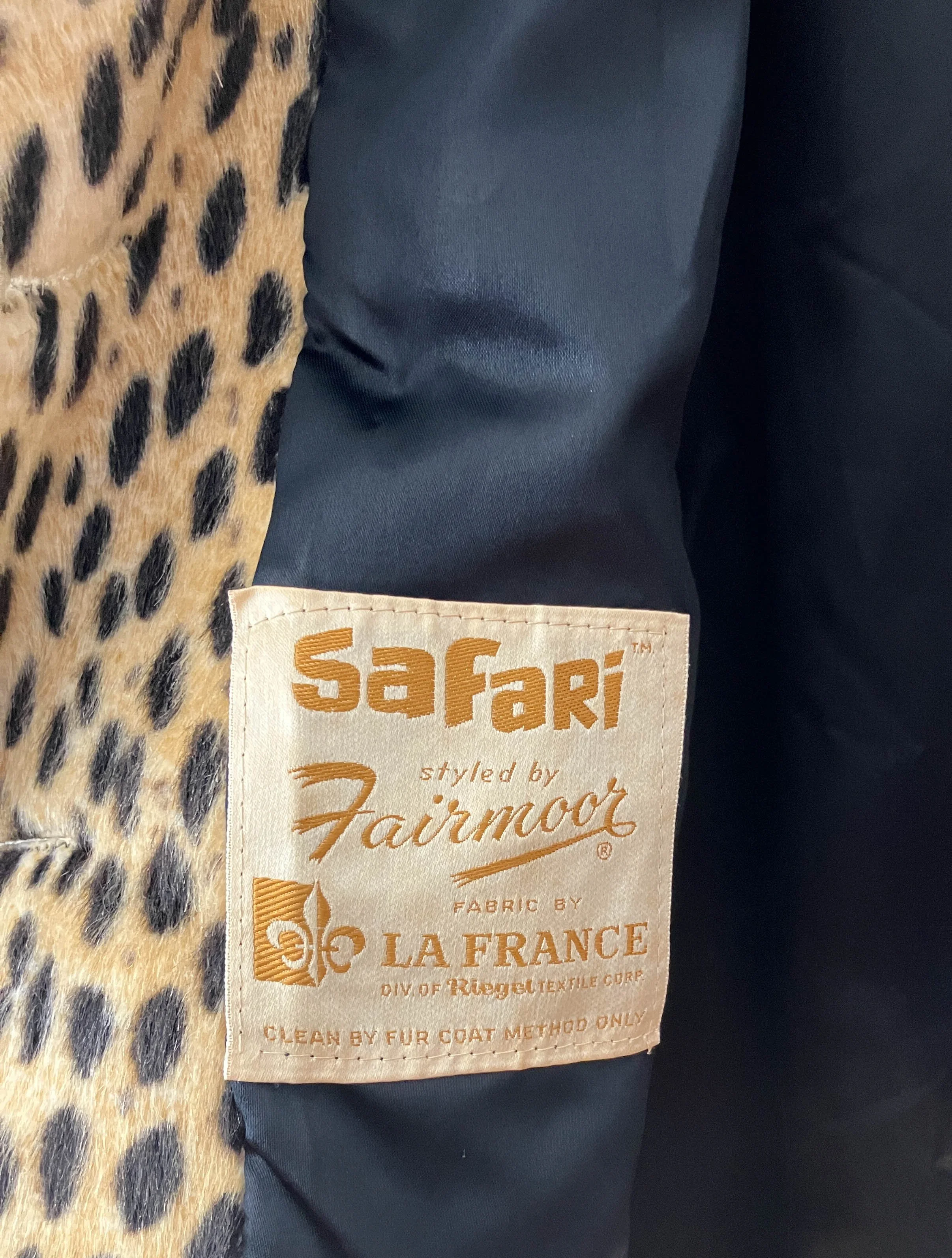 leopard (1 of 1).jpg