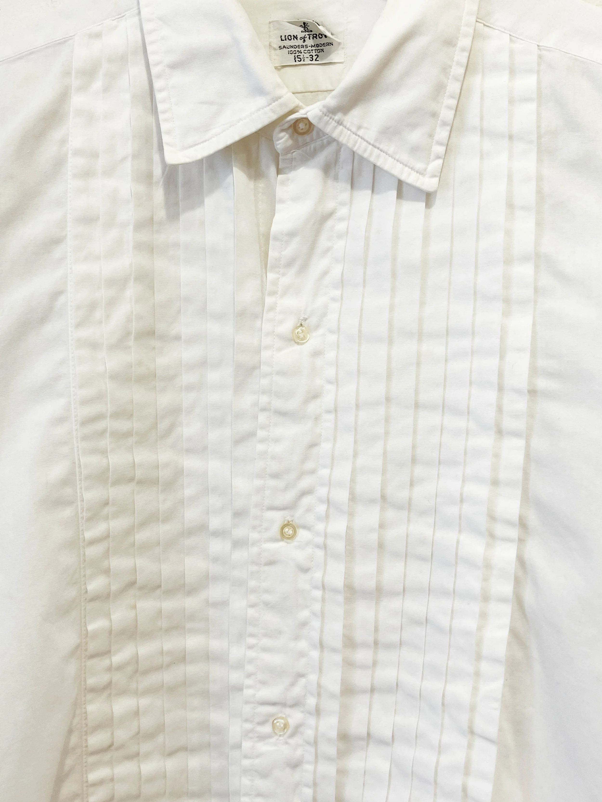 lion of troy (3 of 5).jpg