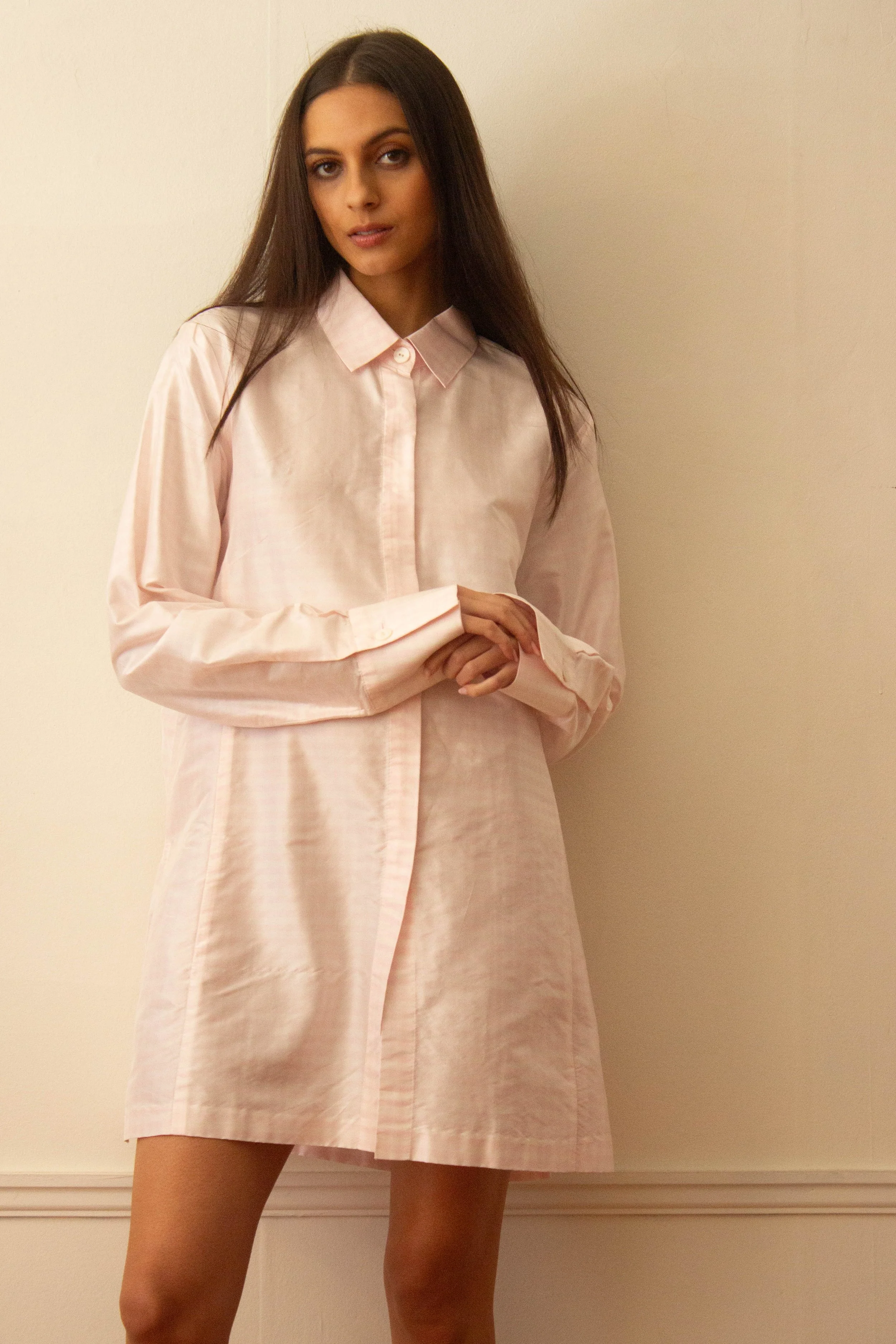 gingham mini (3 of 4).jpg