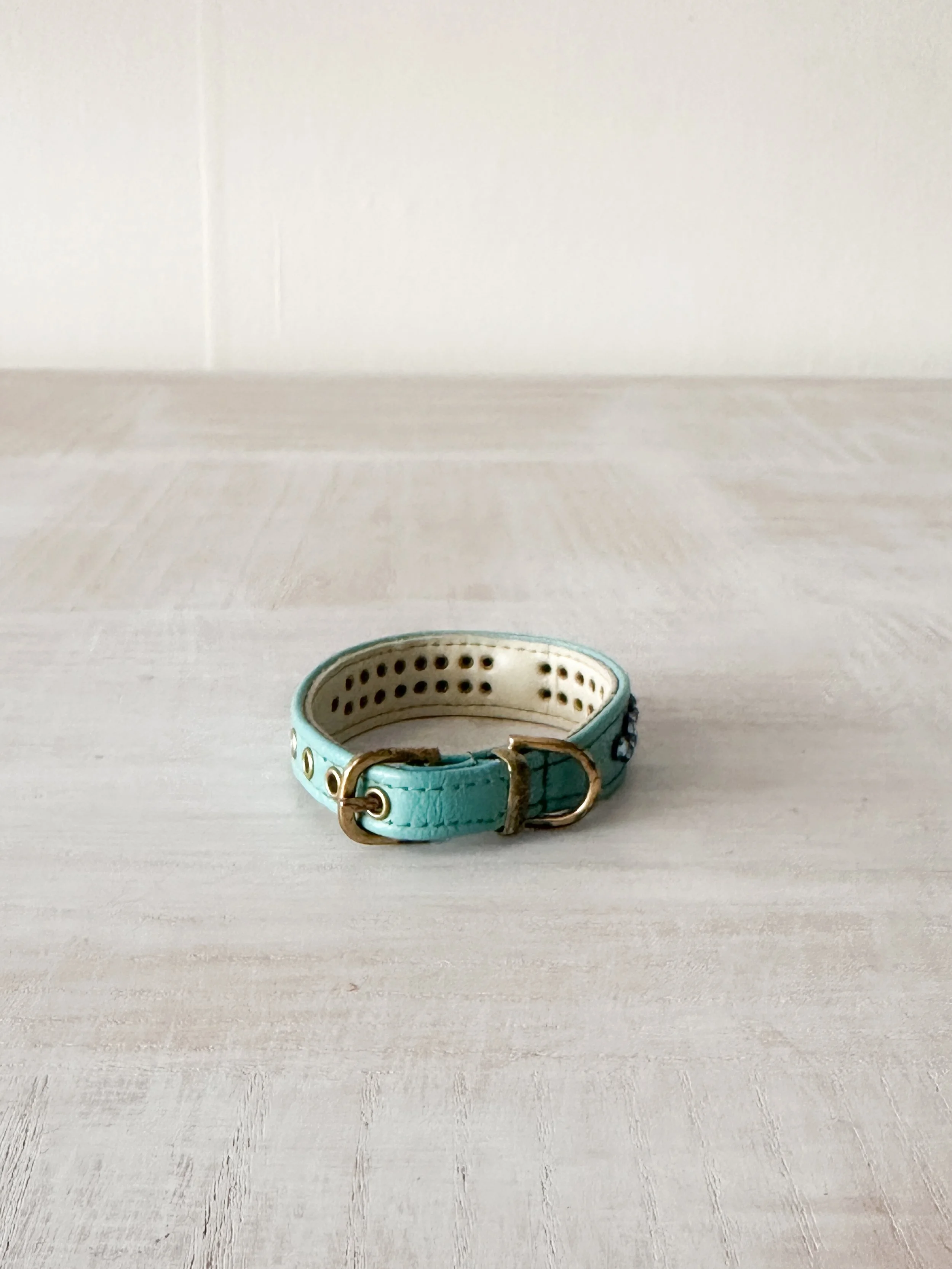 collar (2 of 3).jpg