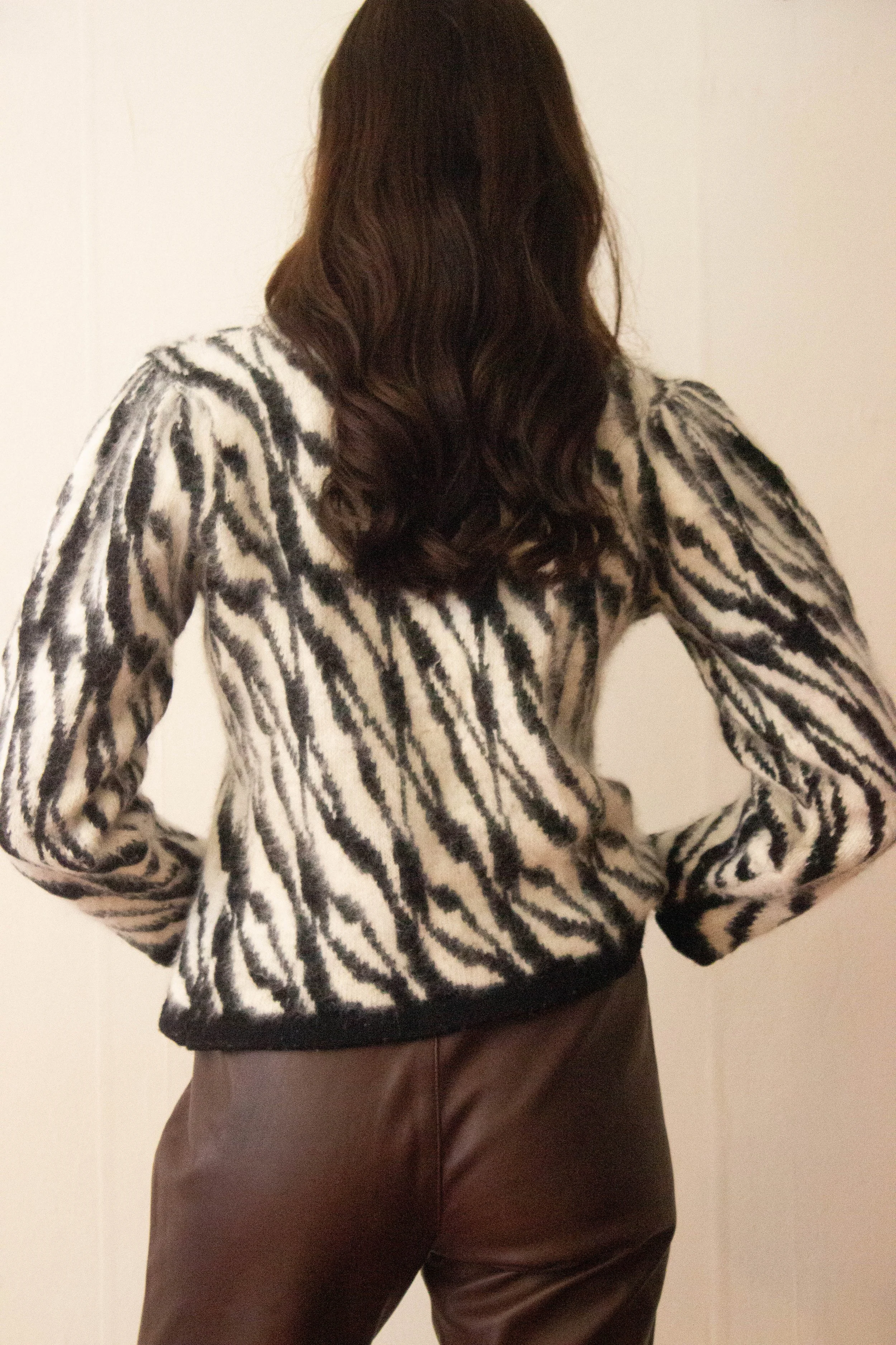 zebra anogra final (5 of 6).jpg