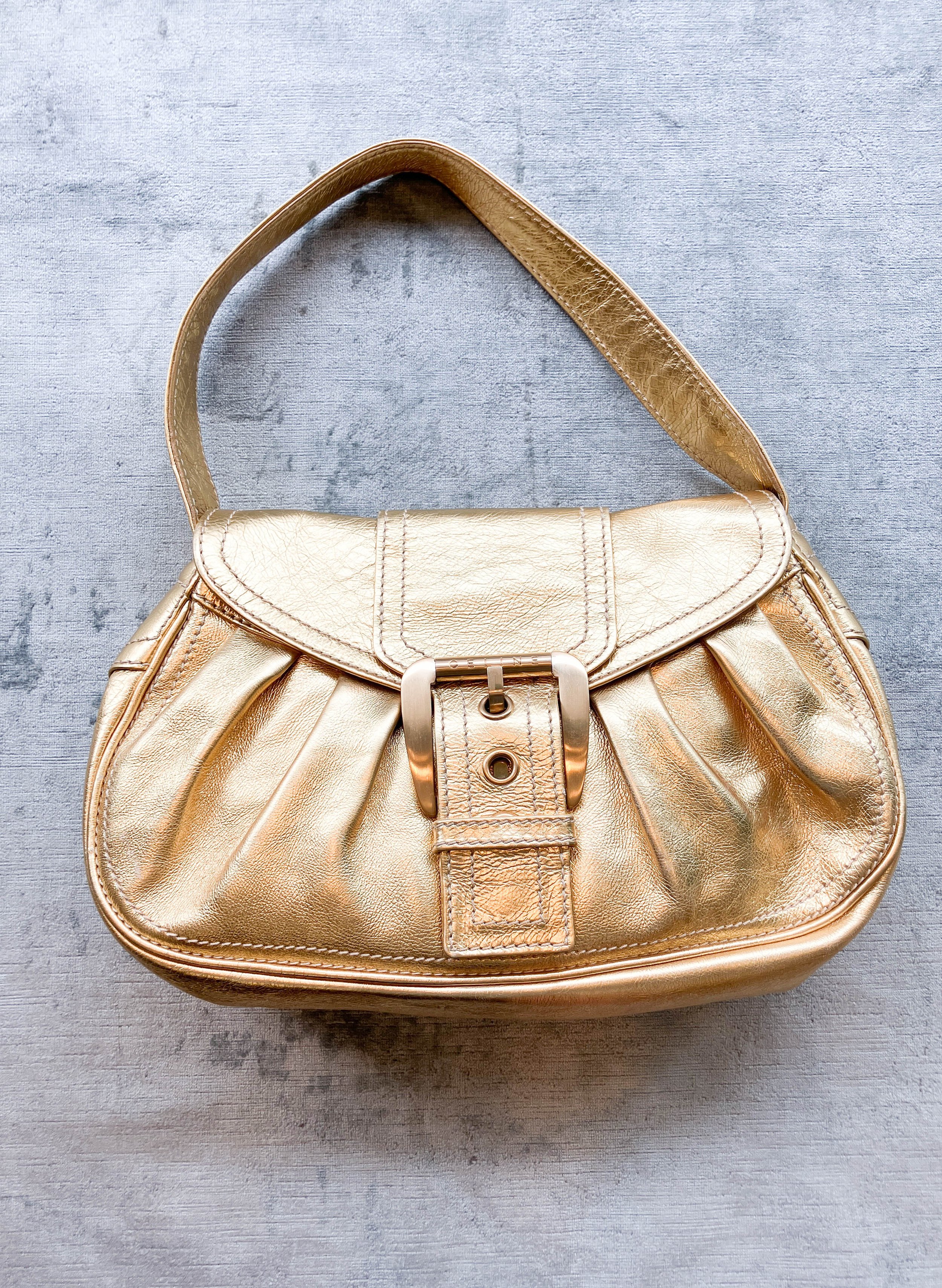 celine bag (5 of 7).jpg