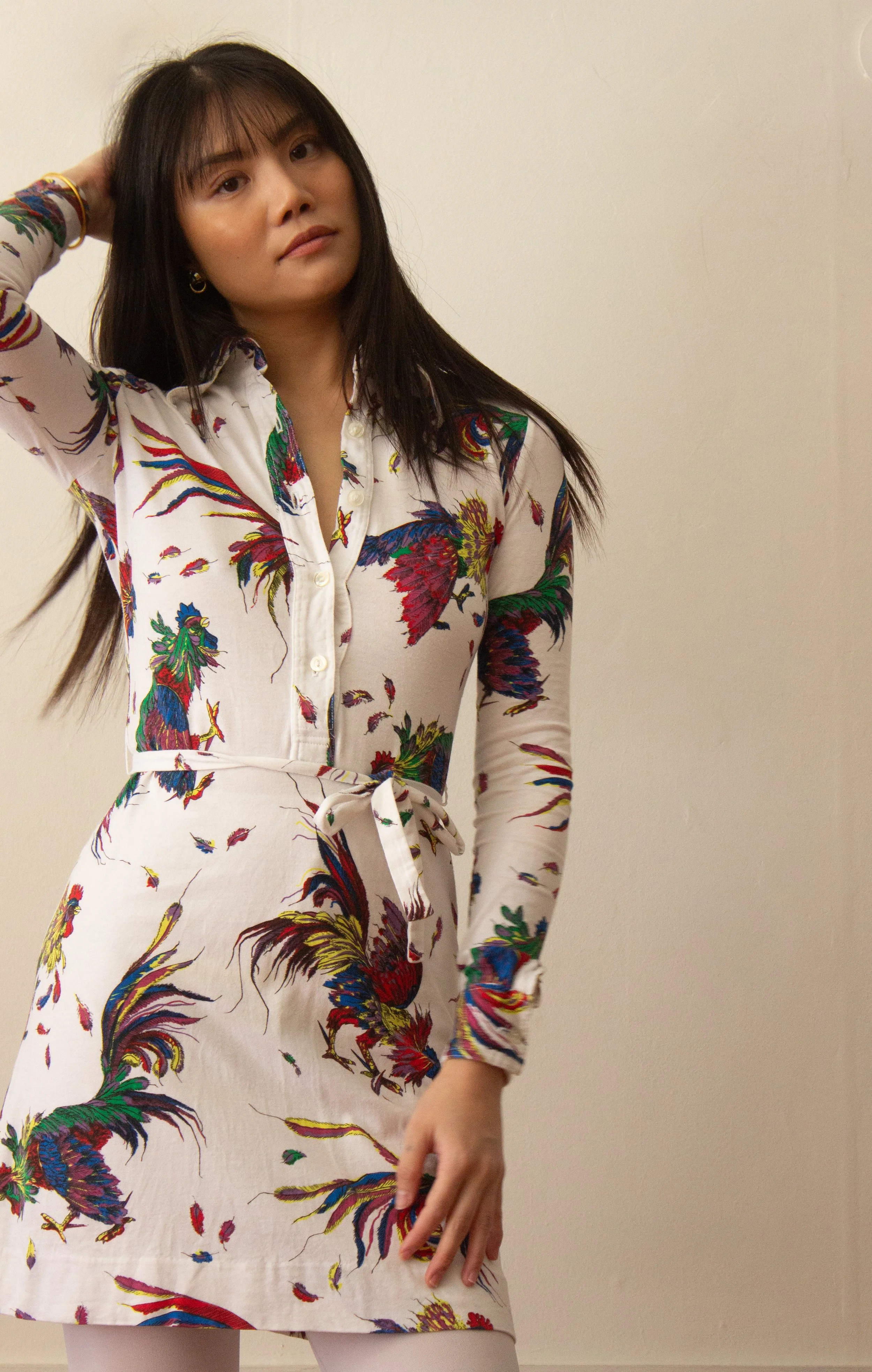 rooster mini dress (3 of 5).jpg
