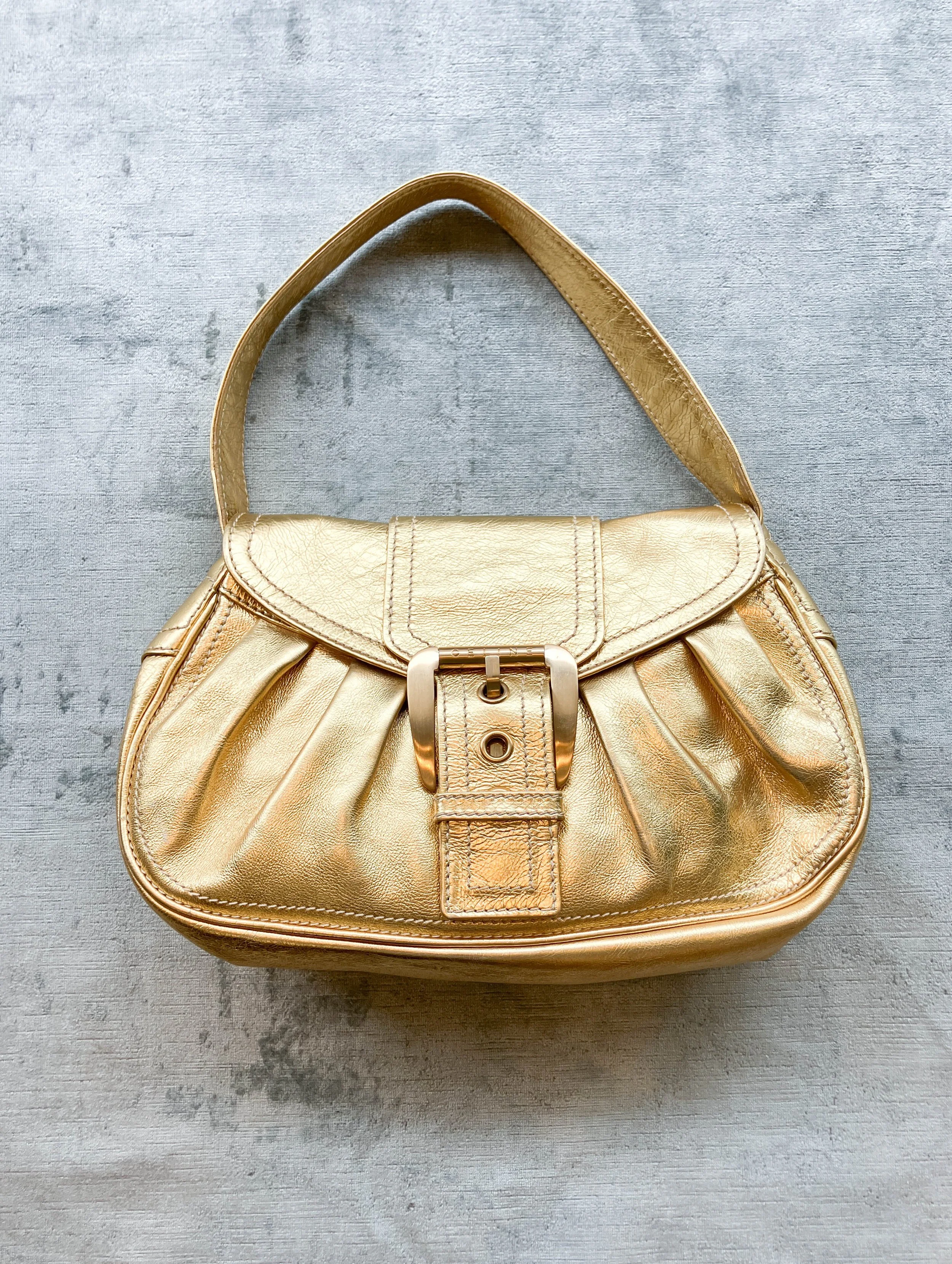 celine bag (1 of 7).jpg