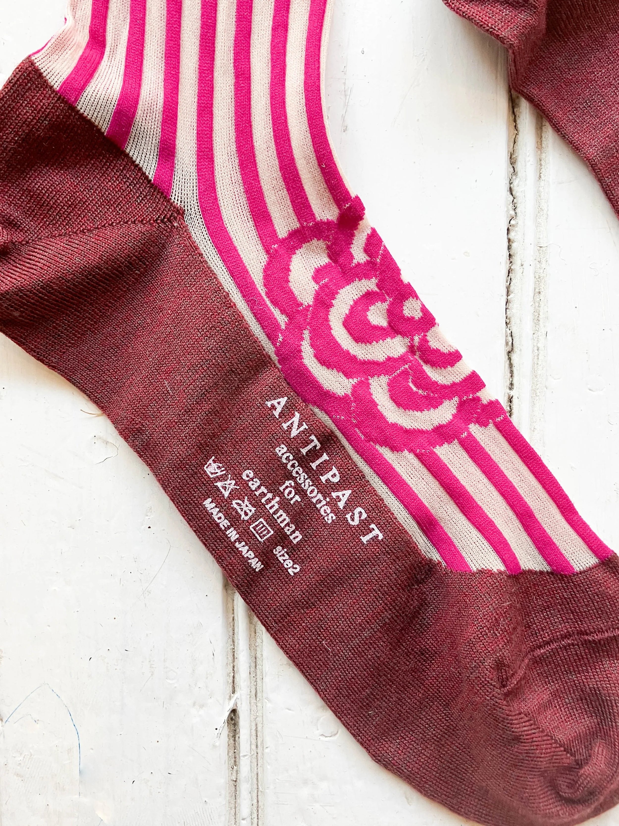 antipast socks (5 of 6).jpg