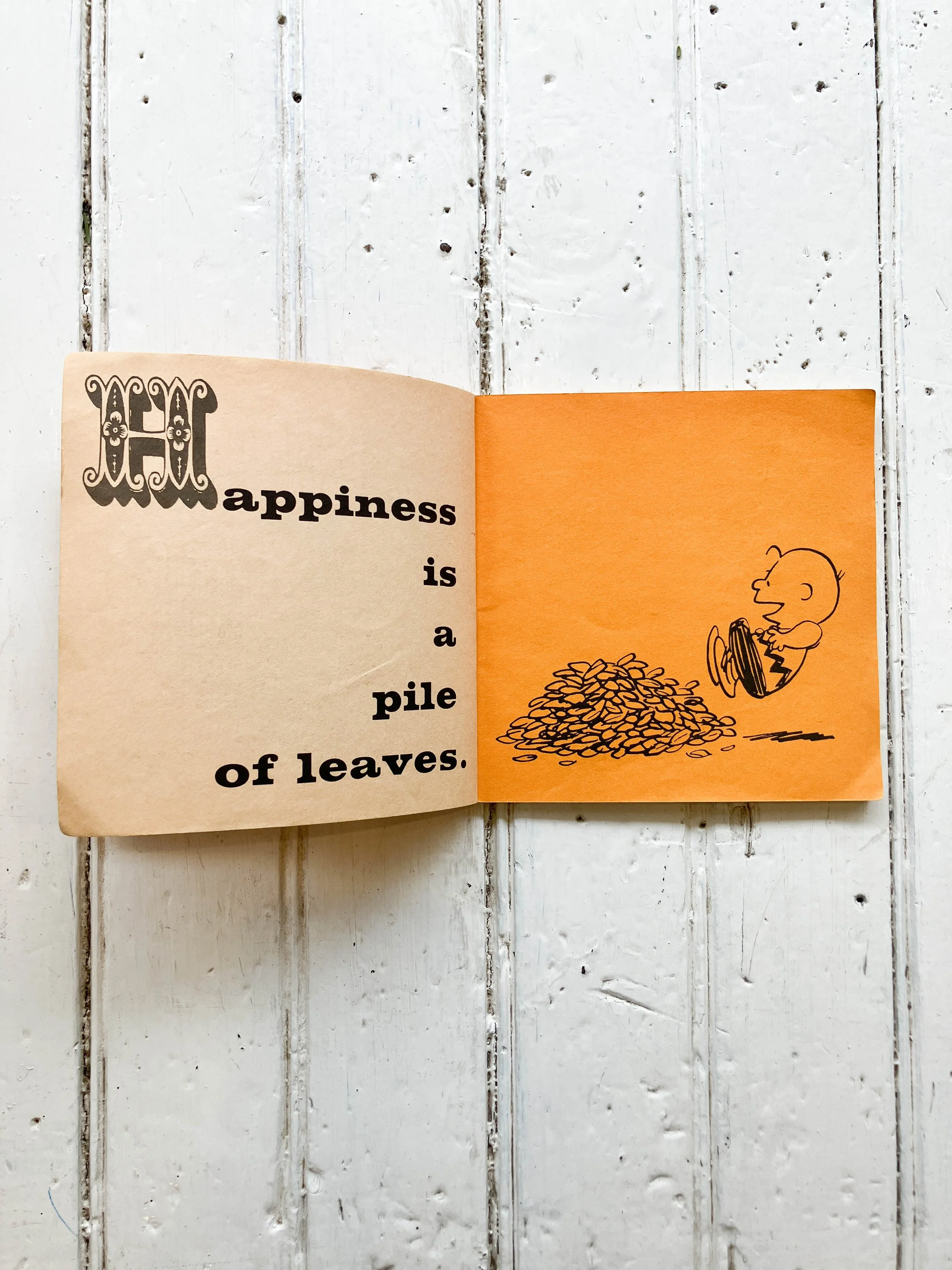 happiness book (3 of 5).jpg