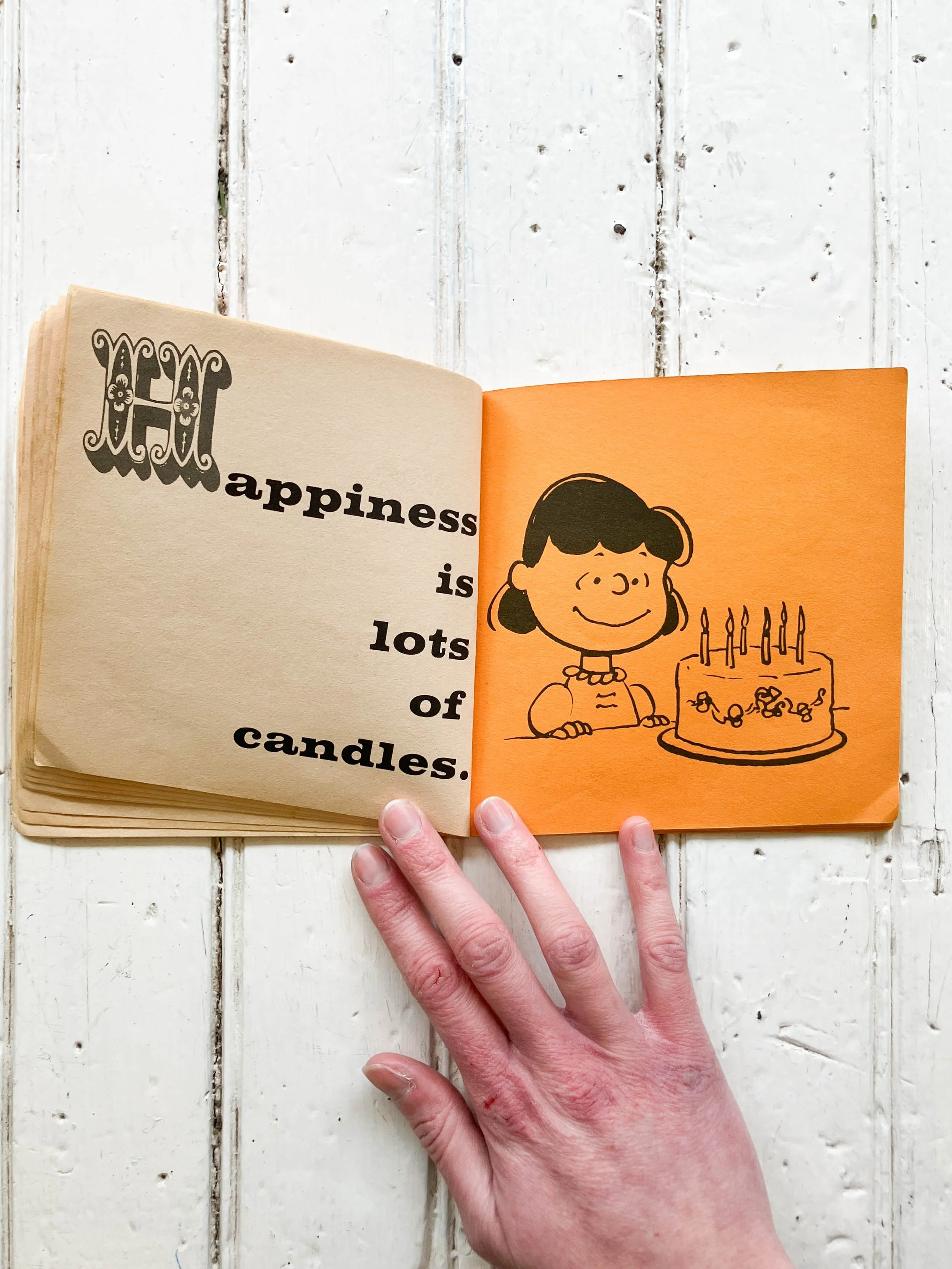 happiness book (5 of 5).jpg