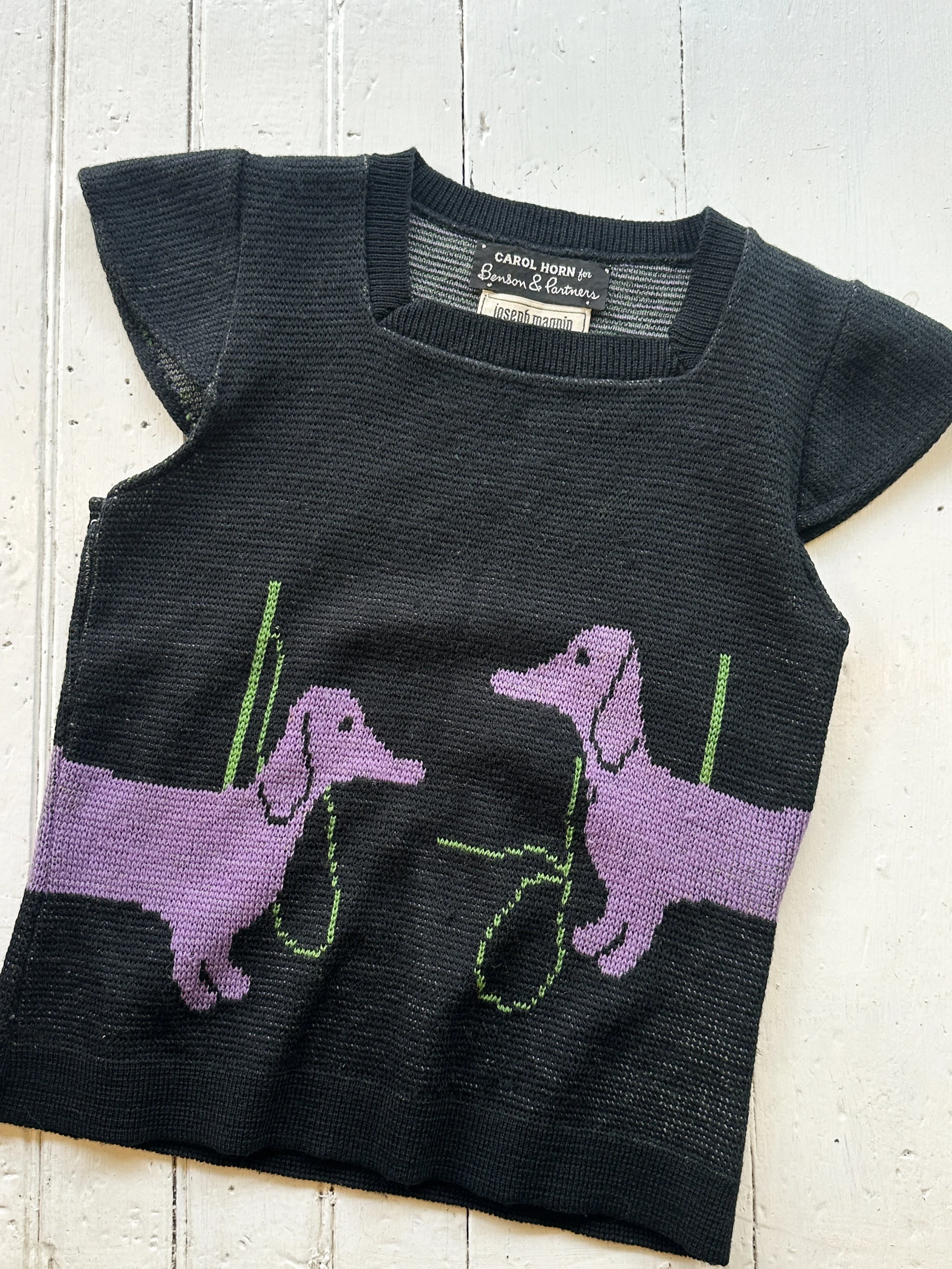 doxie (4 of 4).jpg
