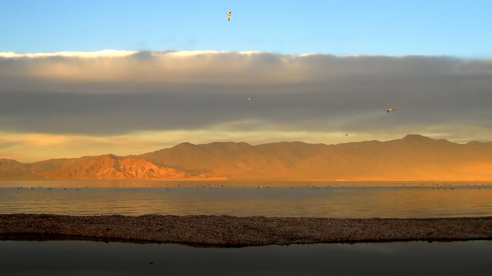 AM Horizon Layers.jpg