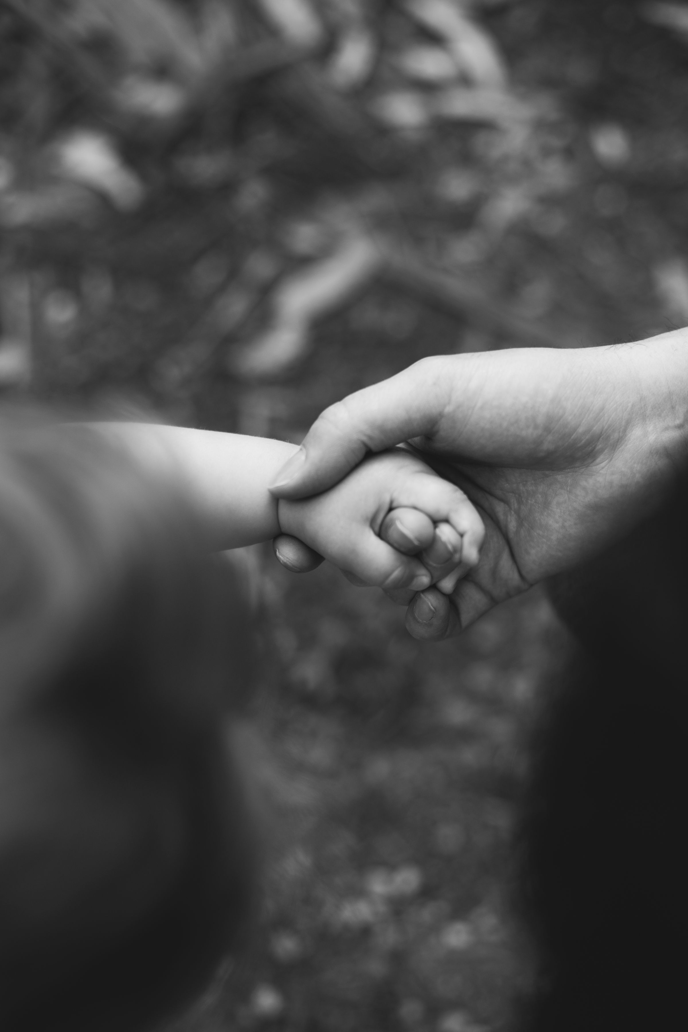 Granite bay family photography milestone sessions Loomis and Rocklin
