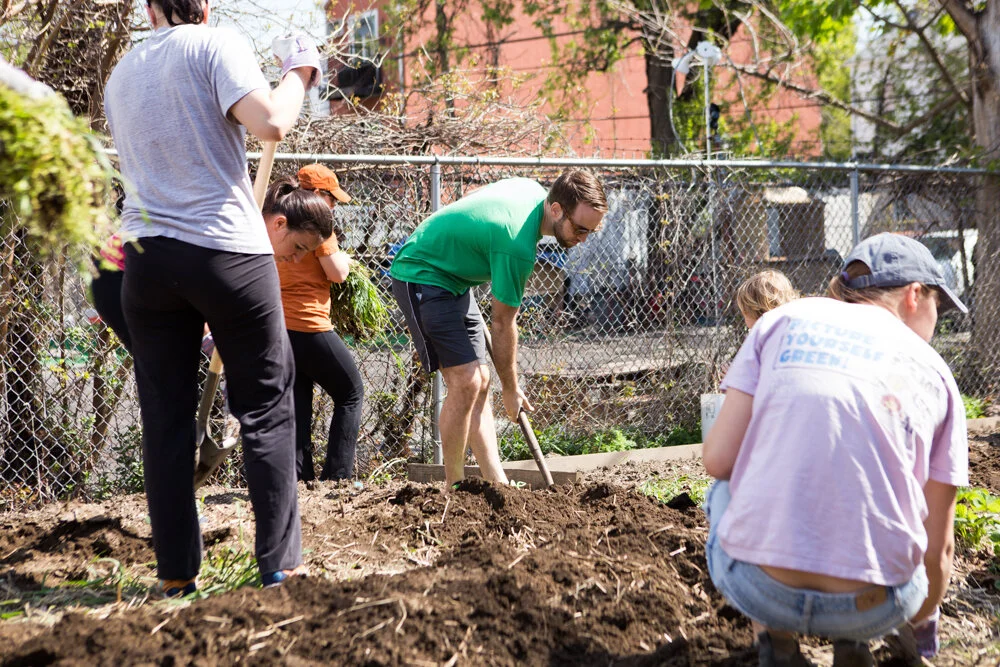 plenty_farm_5_3_2014-WEB-01.jpg