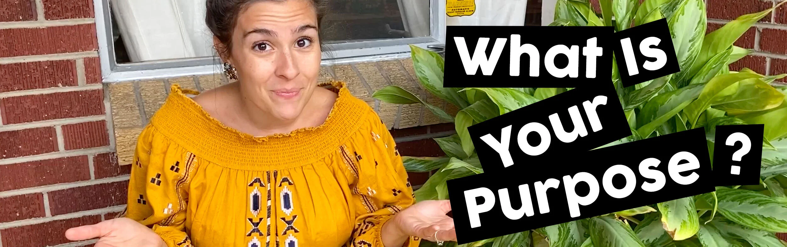 What Is Your Purpose?