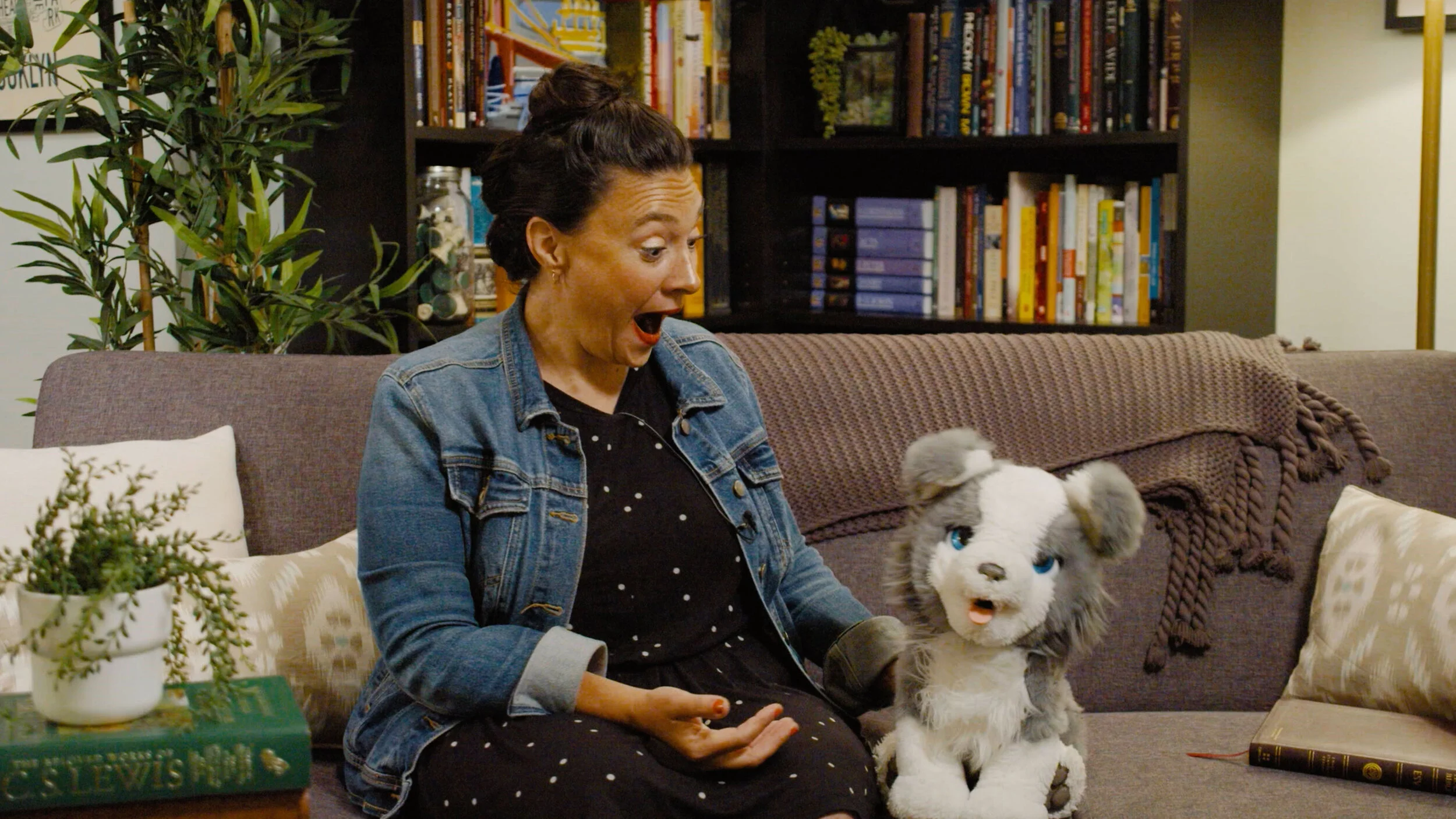 August 1: Searching for Wisdom