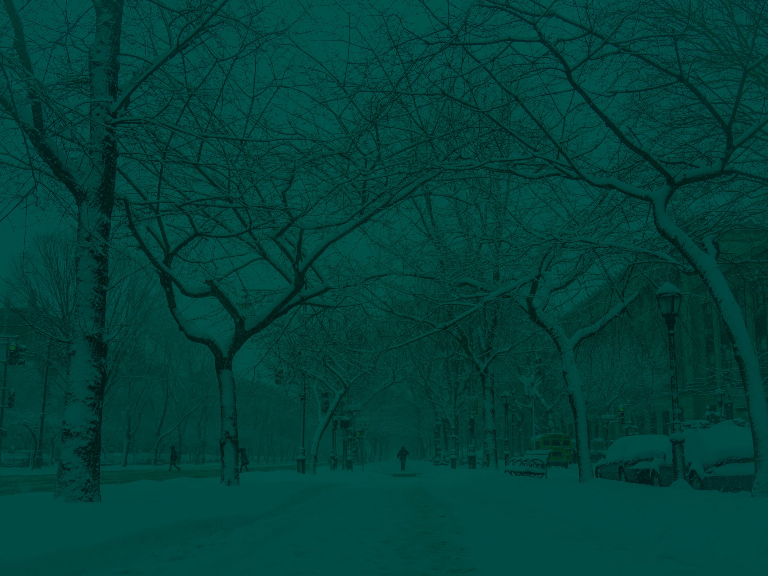 Trinity Grace Church