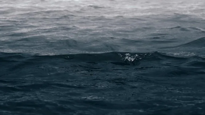 Approaching Grief: From Suffering to Surrender