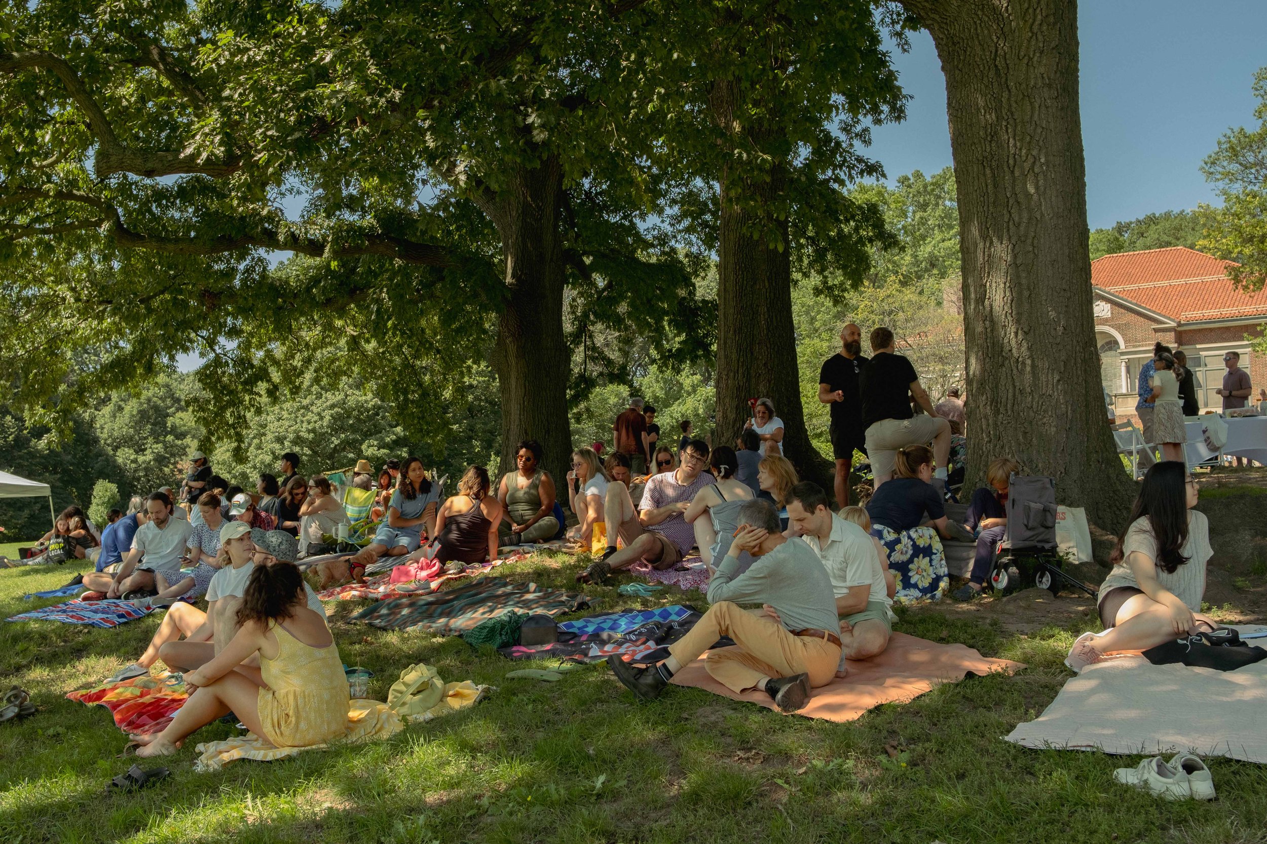 Summer Vision Share