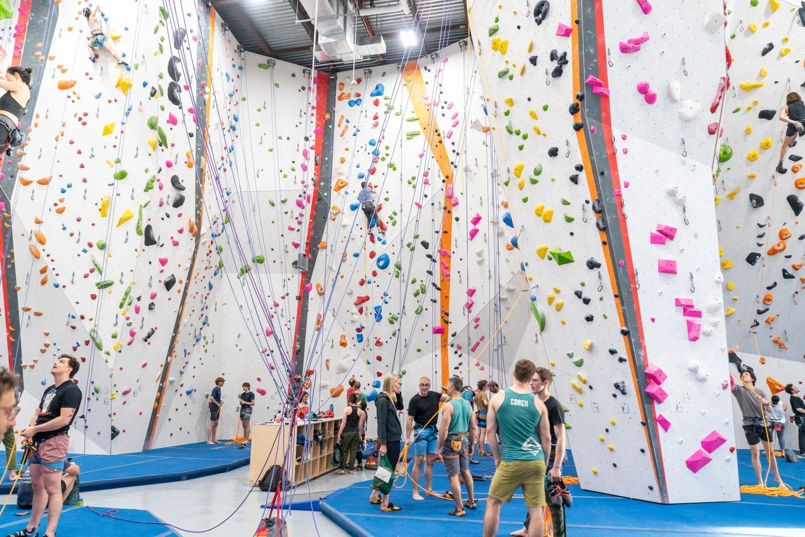 TGC Climber Hang
