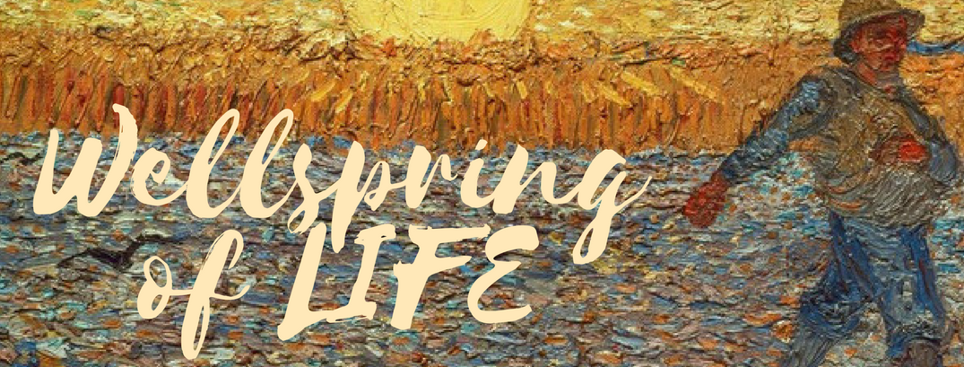 One of the great misconceptions of the Christian life is that our lives are guided by our intellectual beliefs. In reality, we are guided by our hearts, which act like a well and a compass. The surest way to know the direction of your life is to look, honestly at critically, at your own heart. This series will let us look together and invite us to be shaped into the image of Jesus.