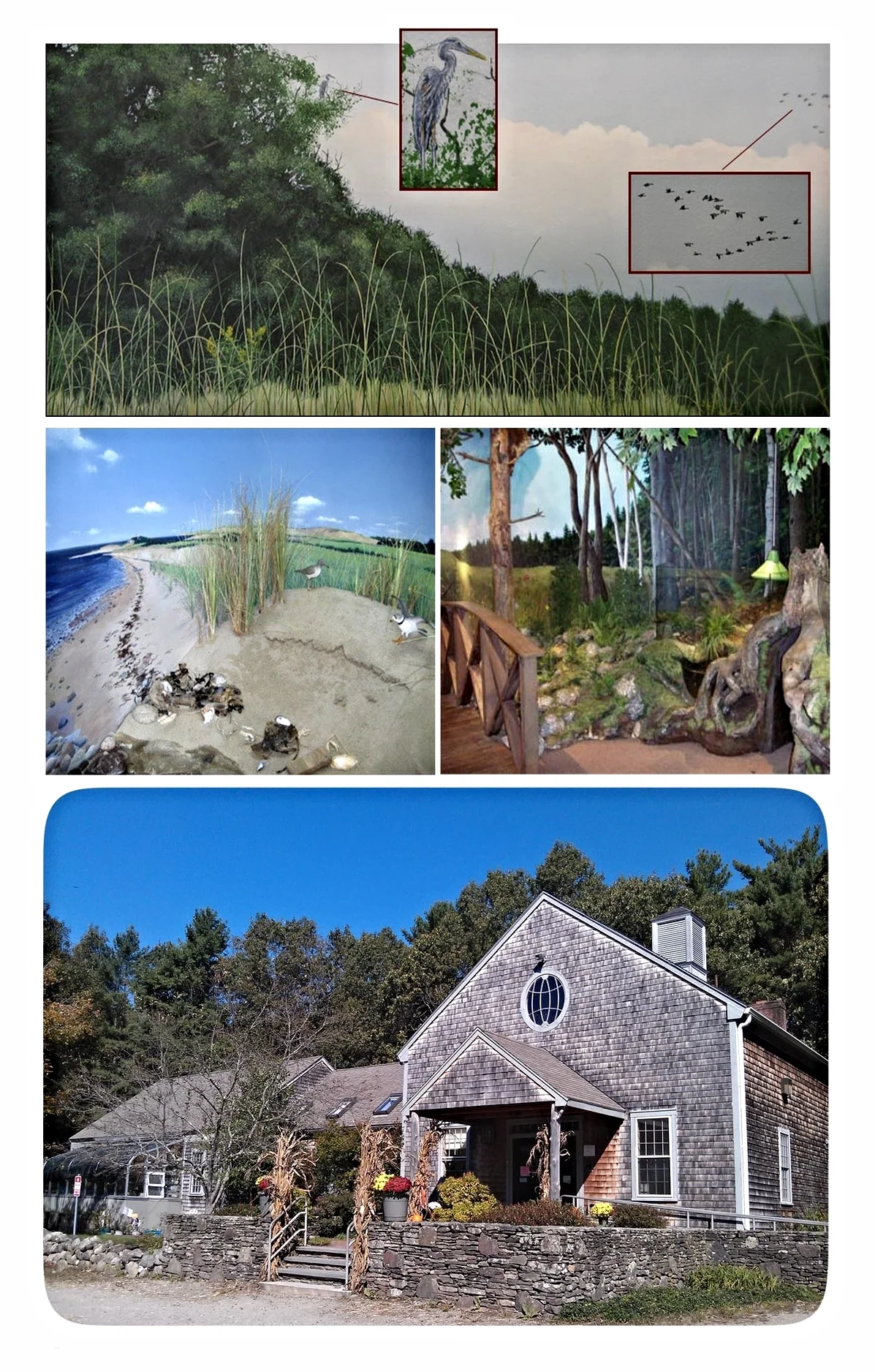  South Shore Natural Science Center &nbsp; &nbsp;Norwell, MA 