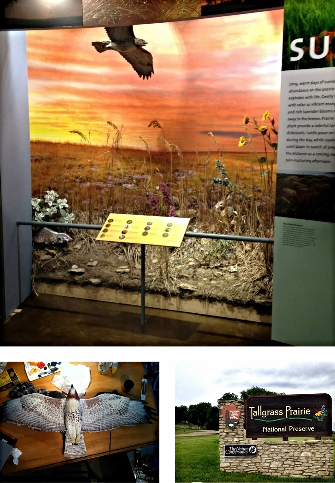  Tallgrass Prairie National Preserve Visitor Center &nbsp; &nbsp;Strong City, KS 