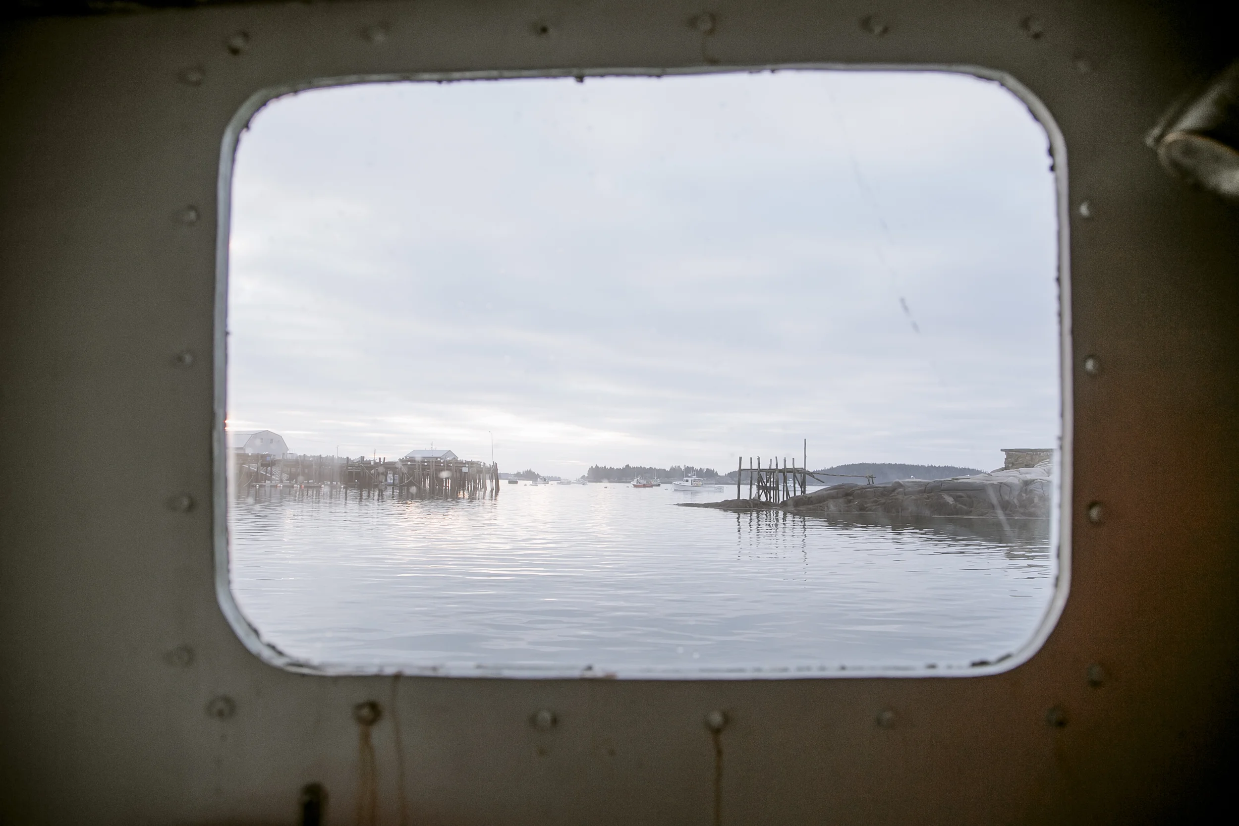 urchins_stonington-1475.jpg