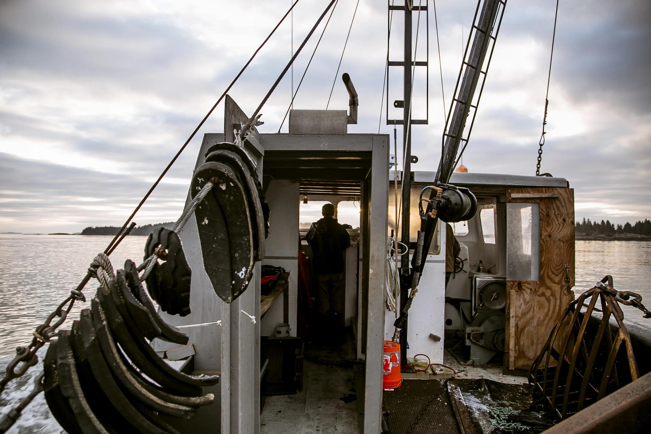 urchins_stonington-1511.jpg