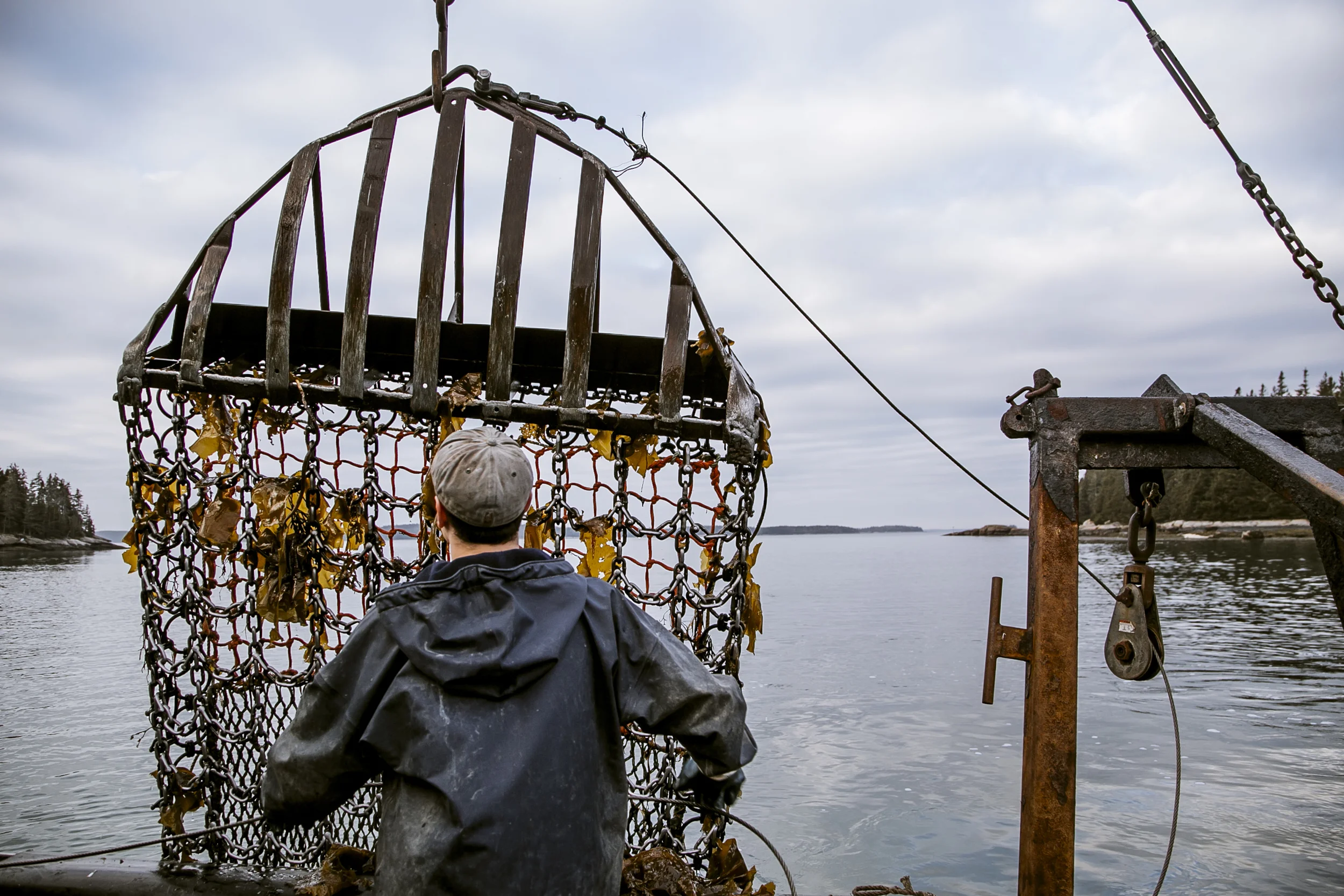 urchins_stonington-1588.jpg