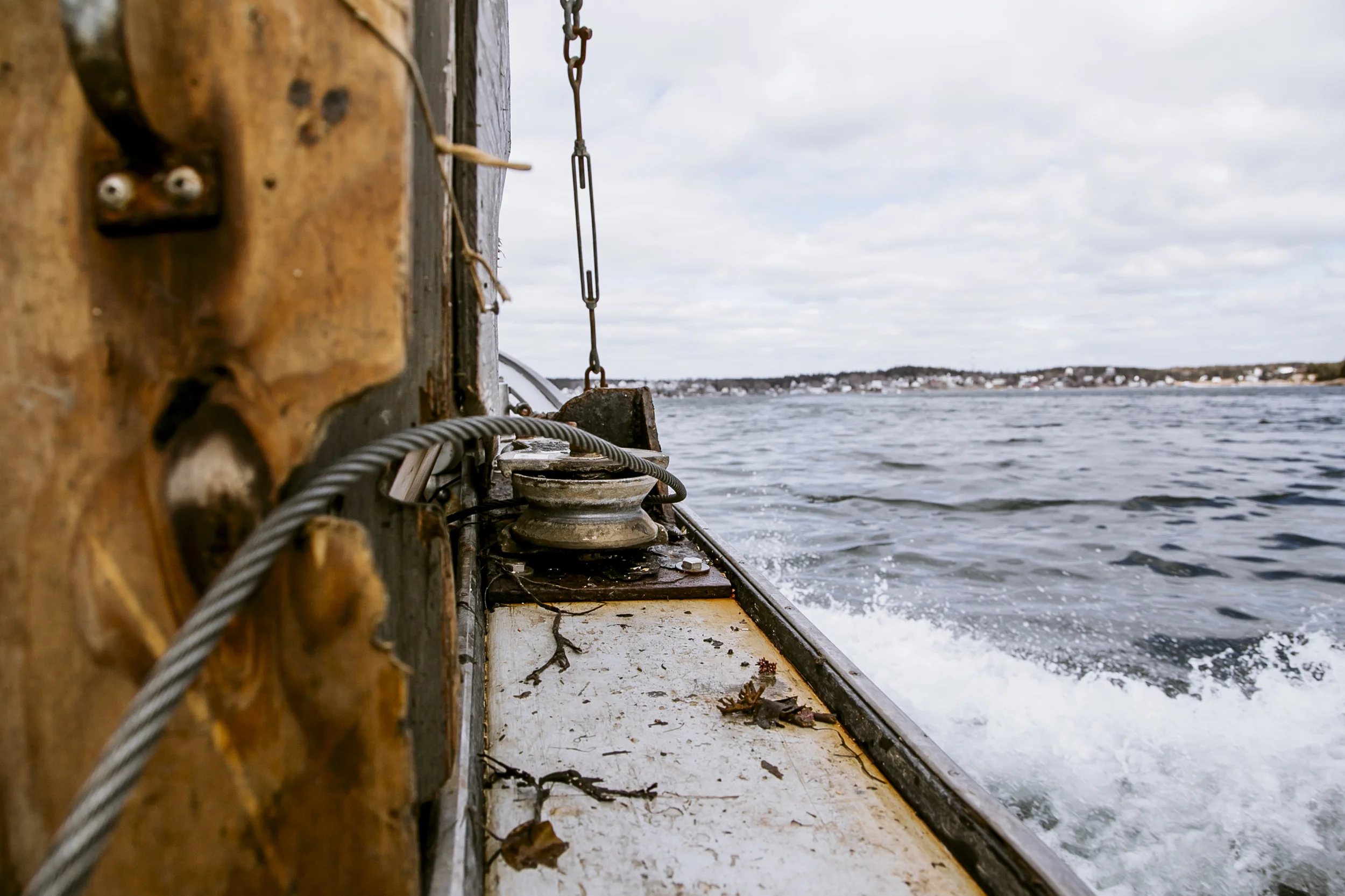 urchins_stonington-2398.jpg